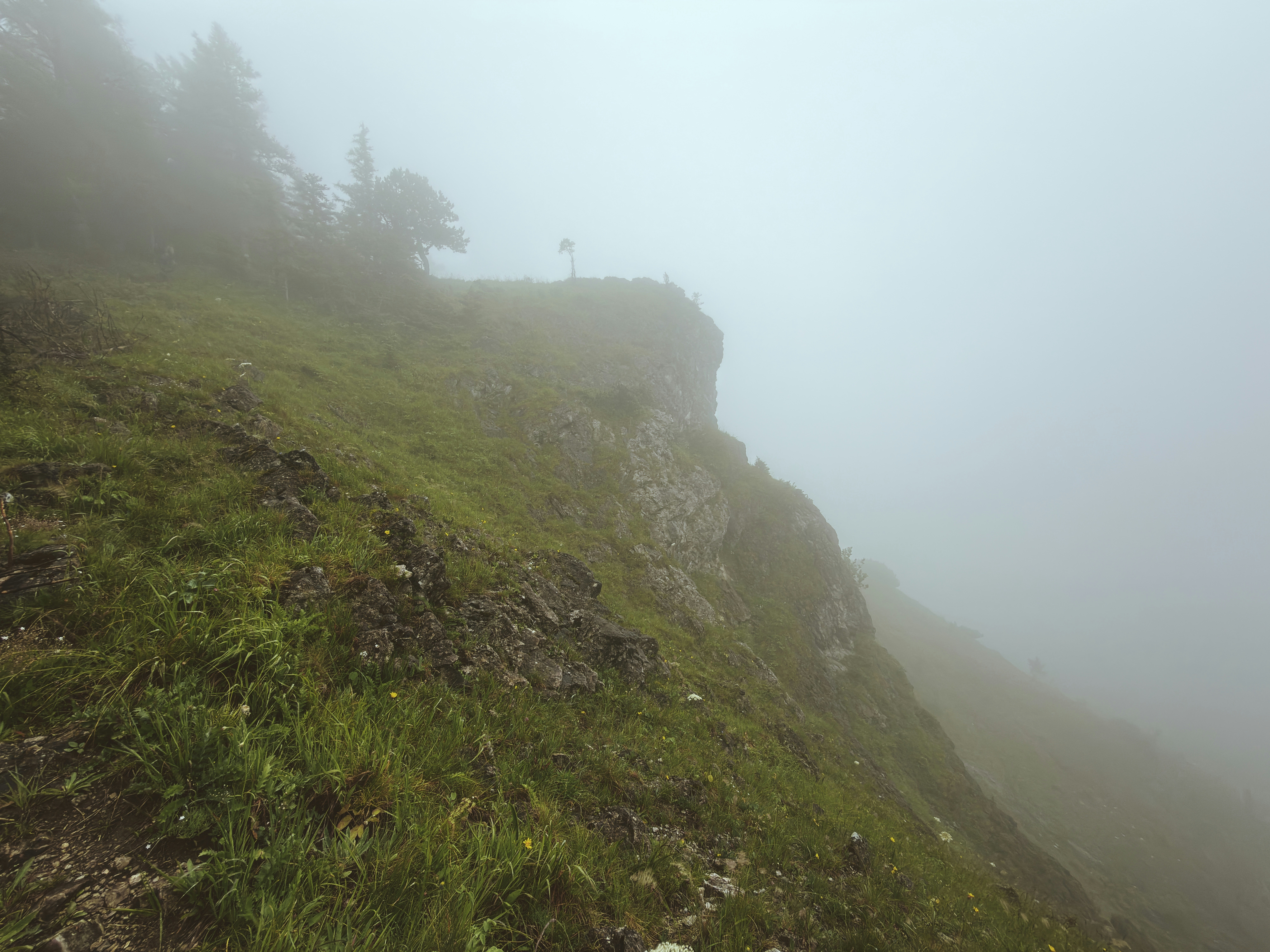 Steep, grassy mountain cliff shrouded in dense fog.