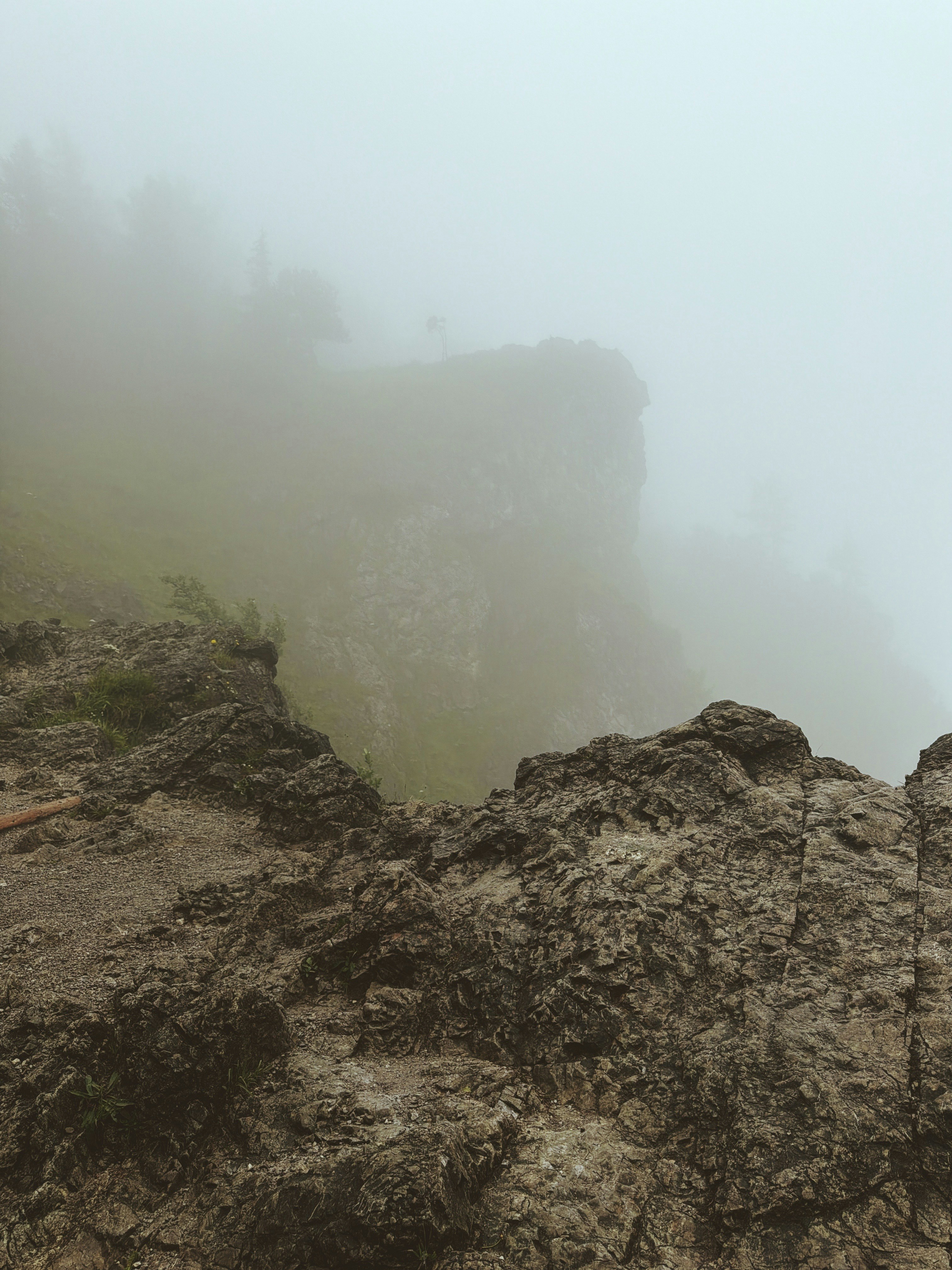 Rocky cliffs shrouded in dense fog with green vegetation.
