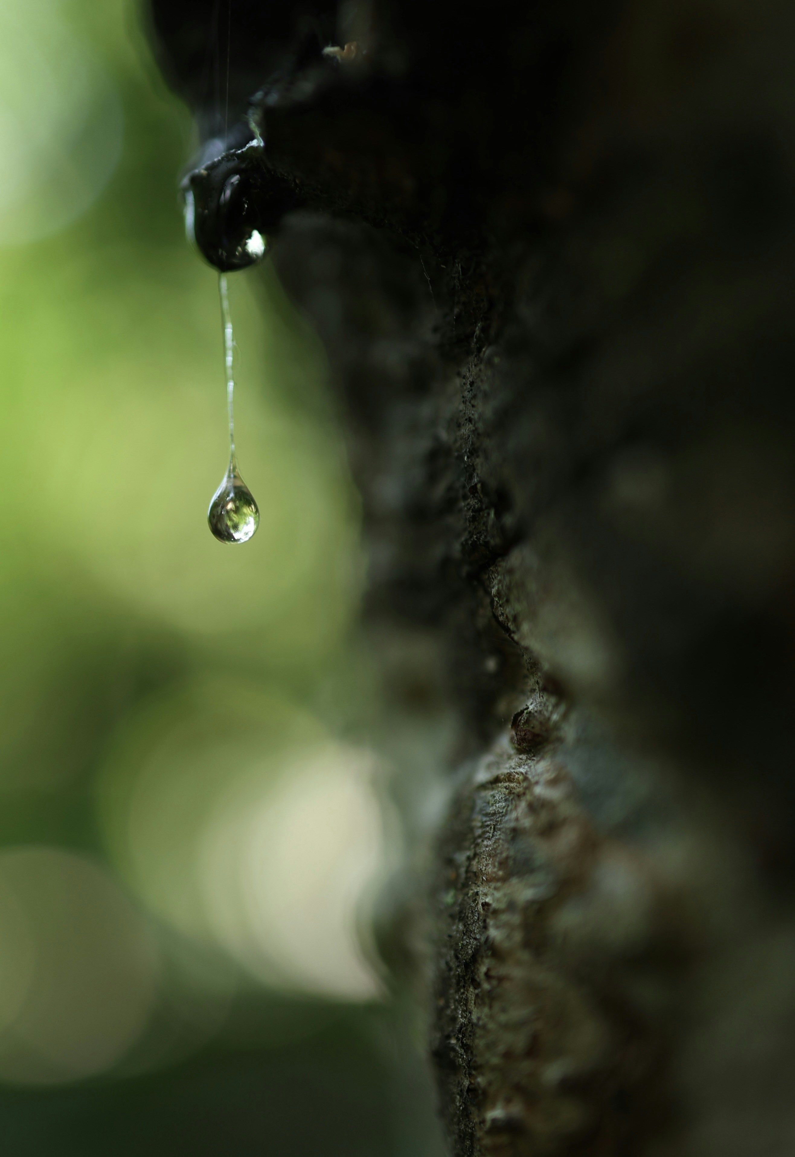A glistening water drop hangs from a dark, textured surface.