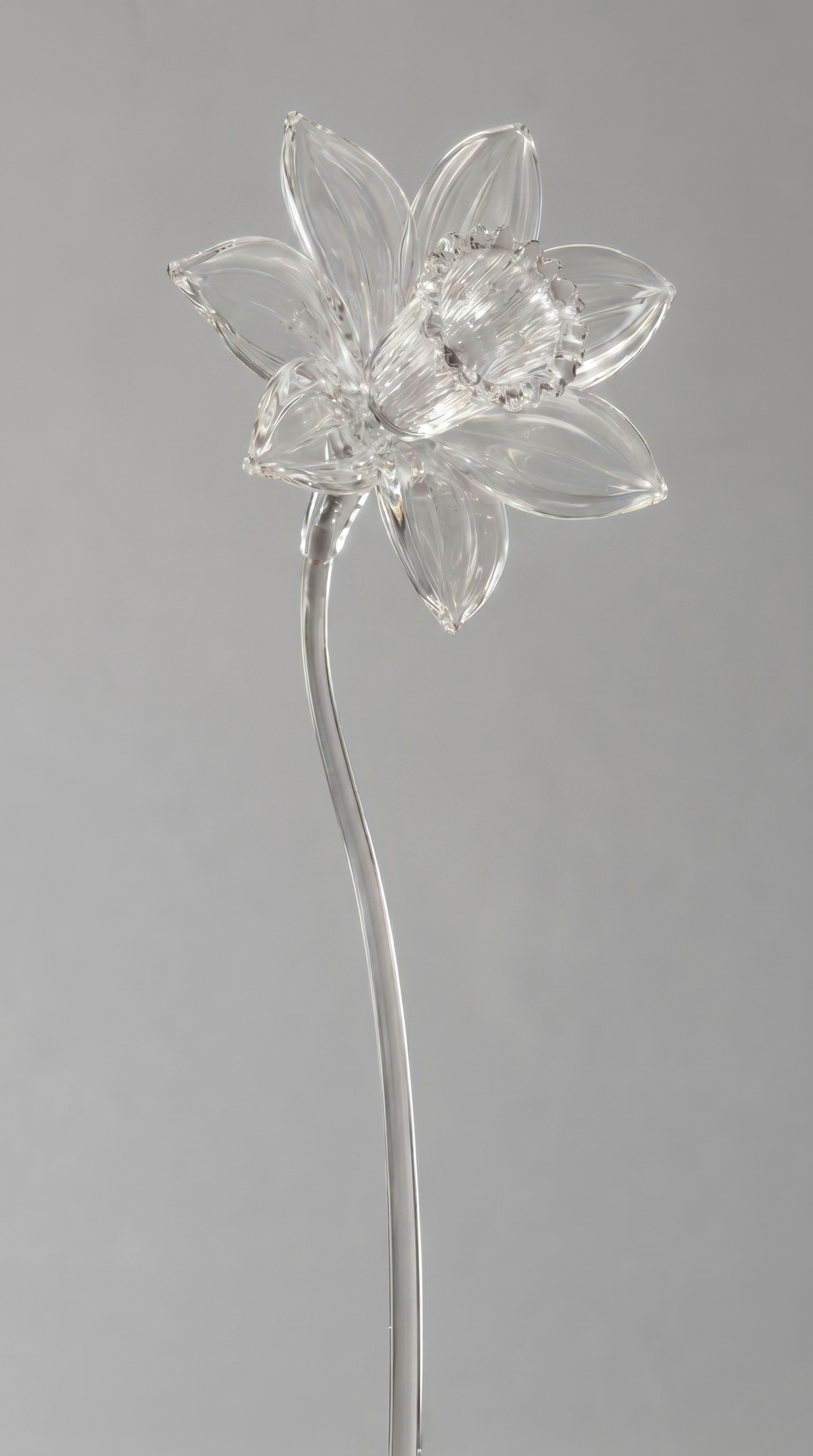 A clear glass daffodil flower with a curved stem.