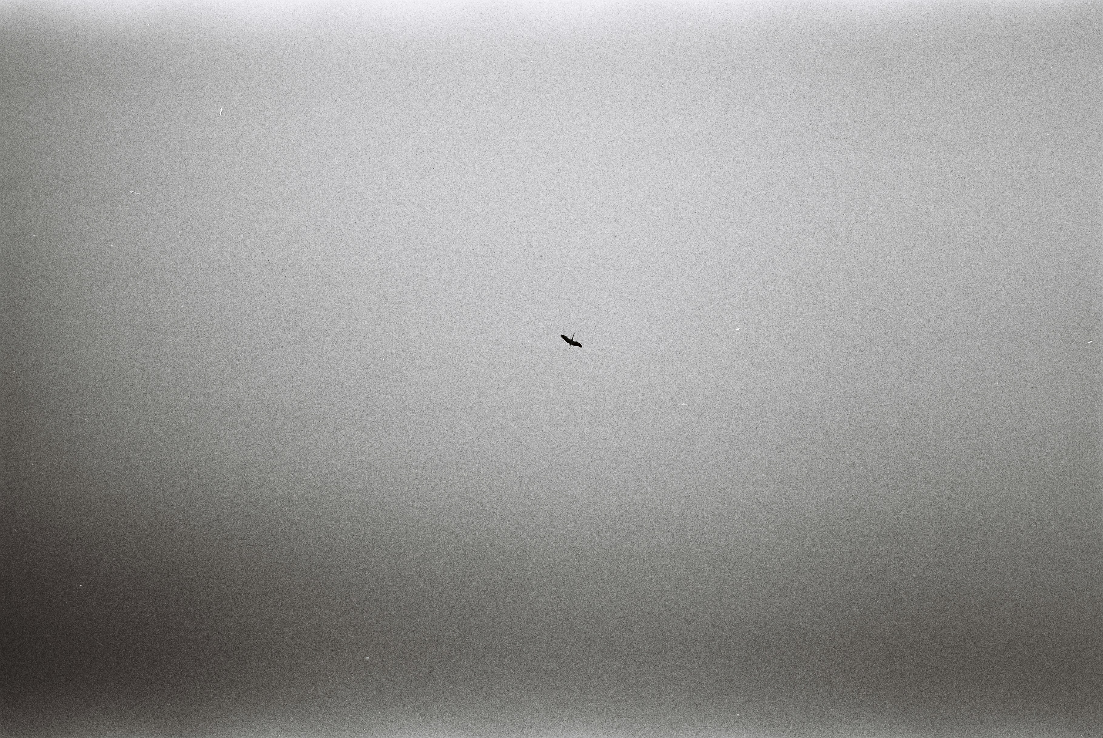 A small aircraft flies in a vast, hazy sky