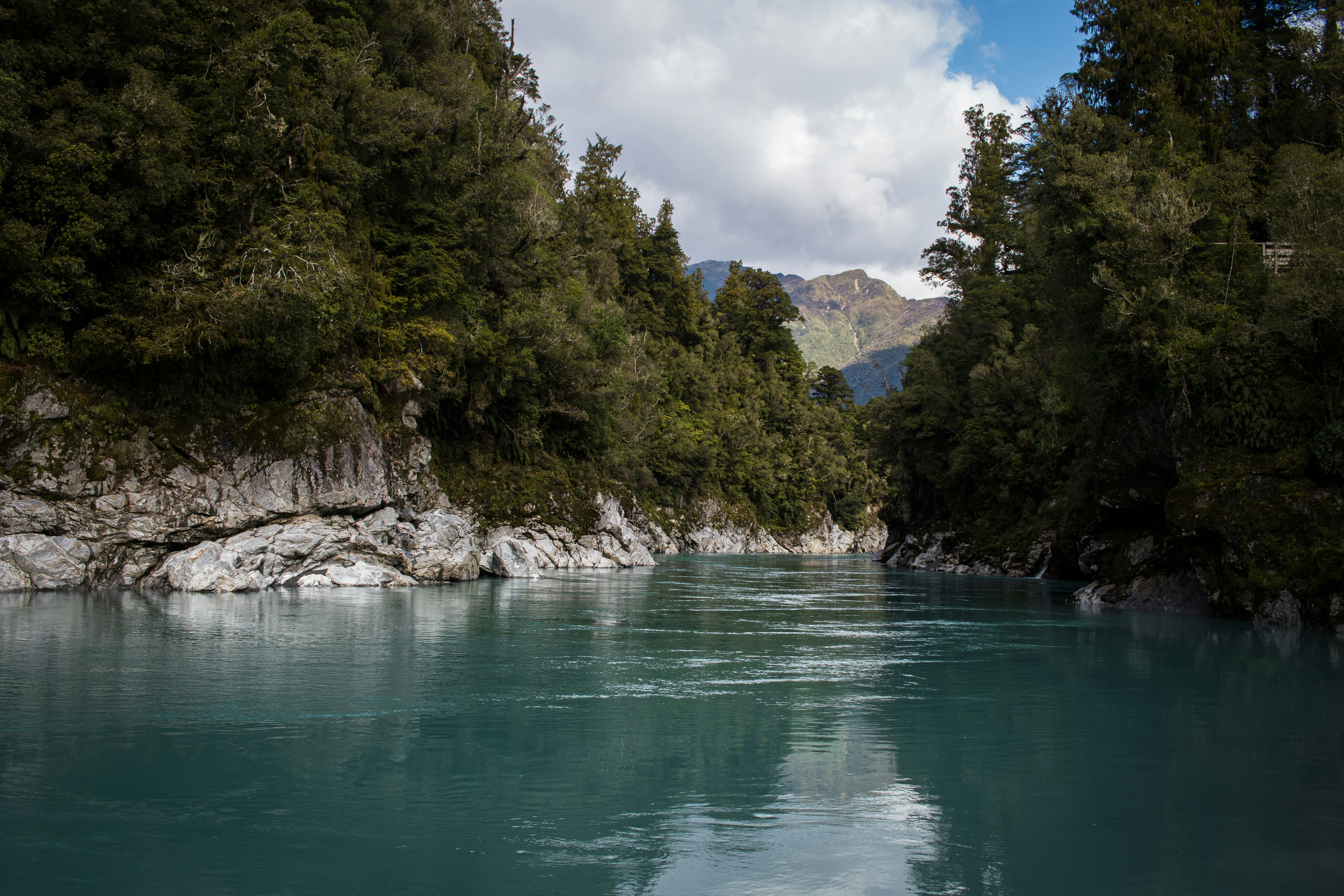 New Zealand Salmon & Trout Fishing 2