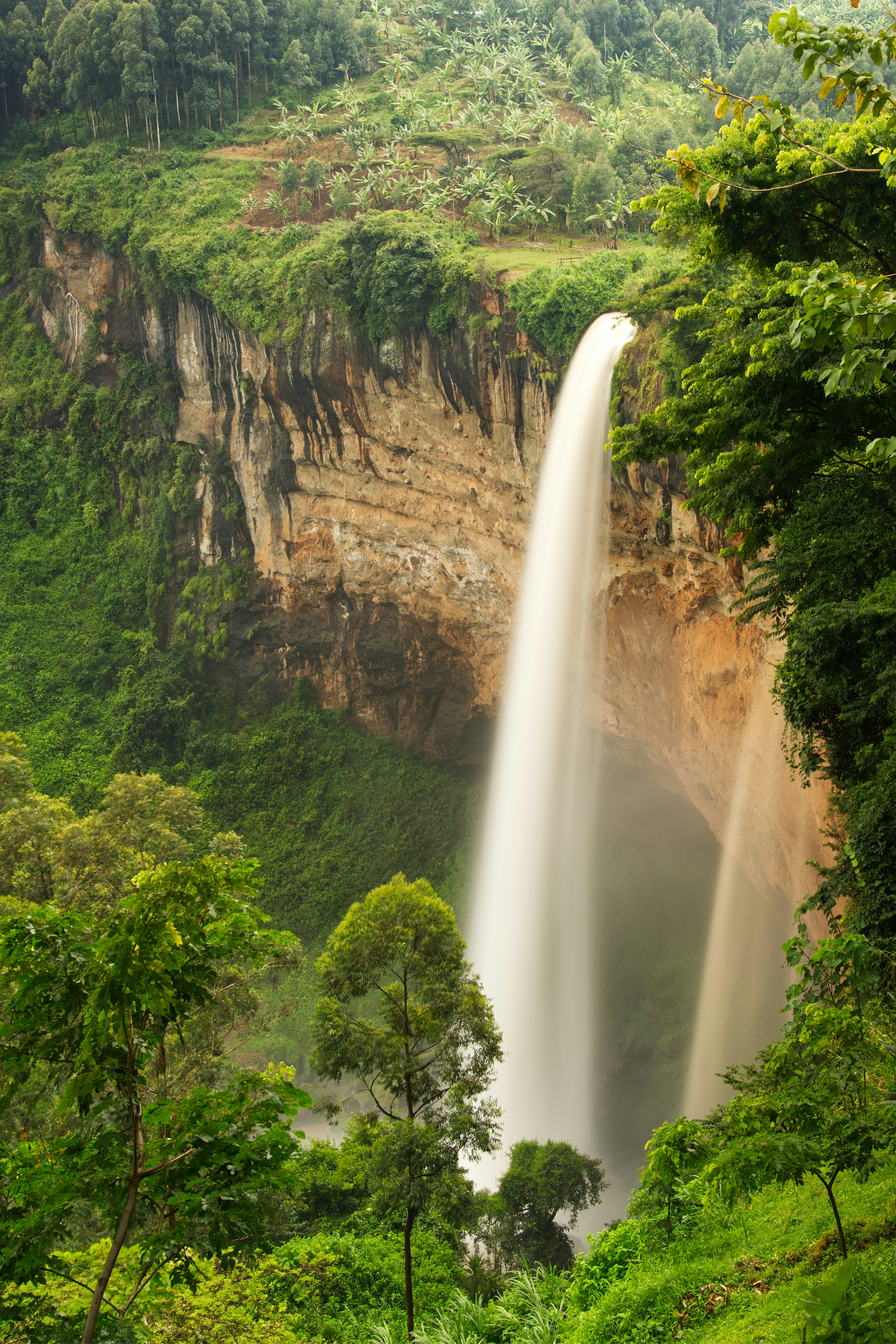 Une haute cascade dévale une falaise rocheuse au milieu d’une forêt verdoyante.