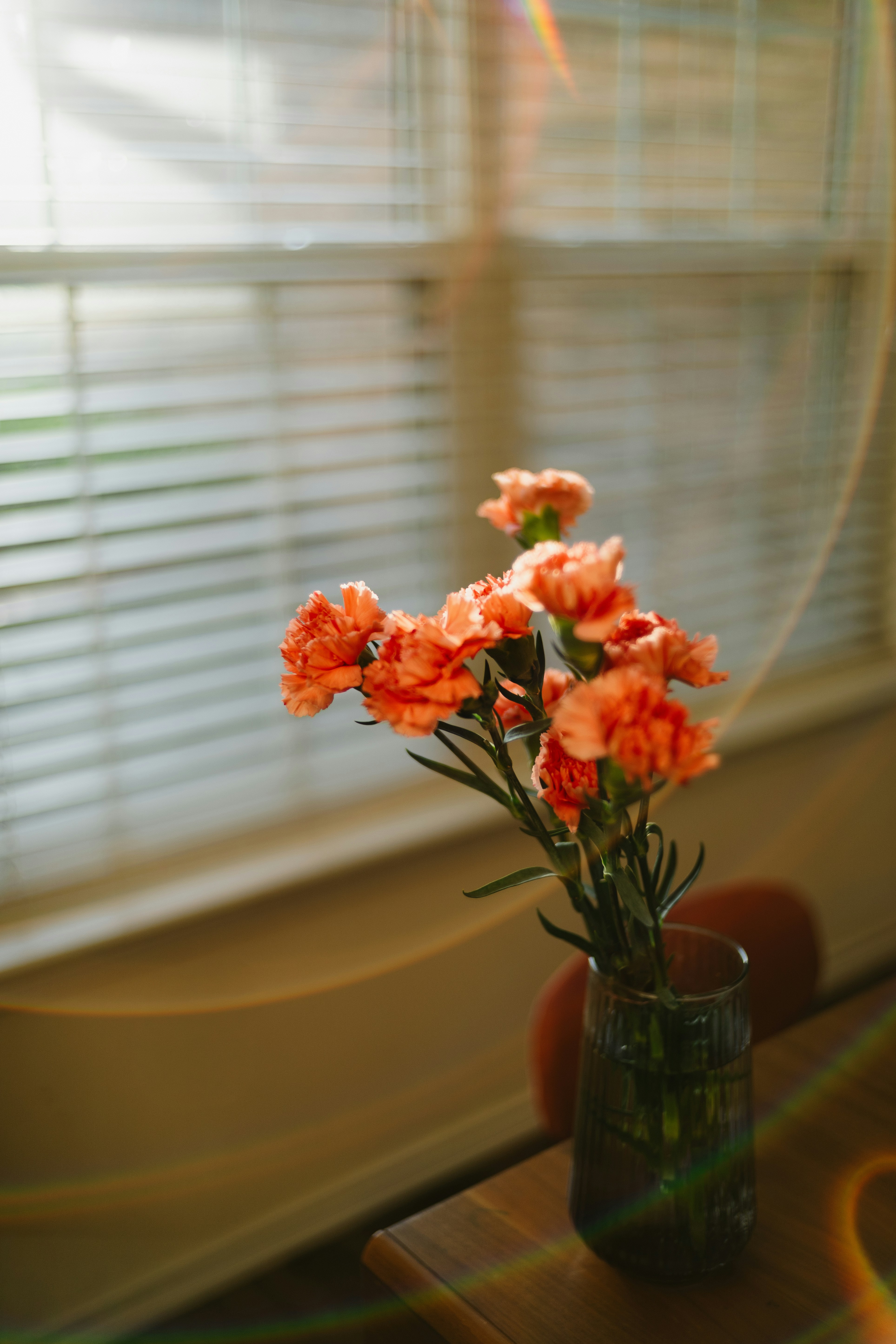 Orange carnations in a vase by window