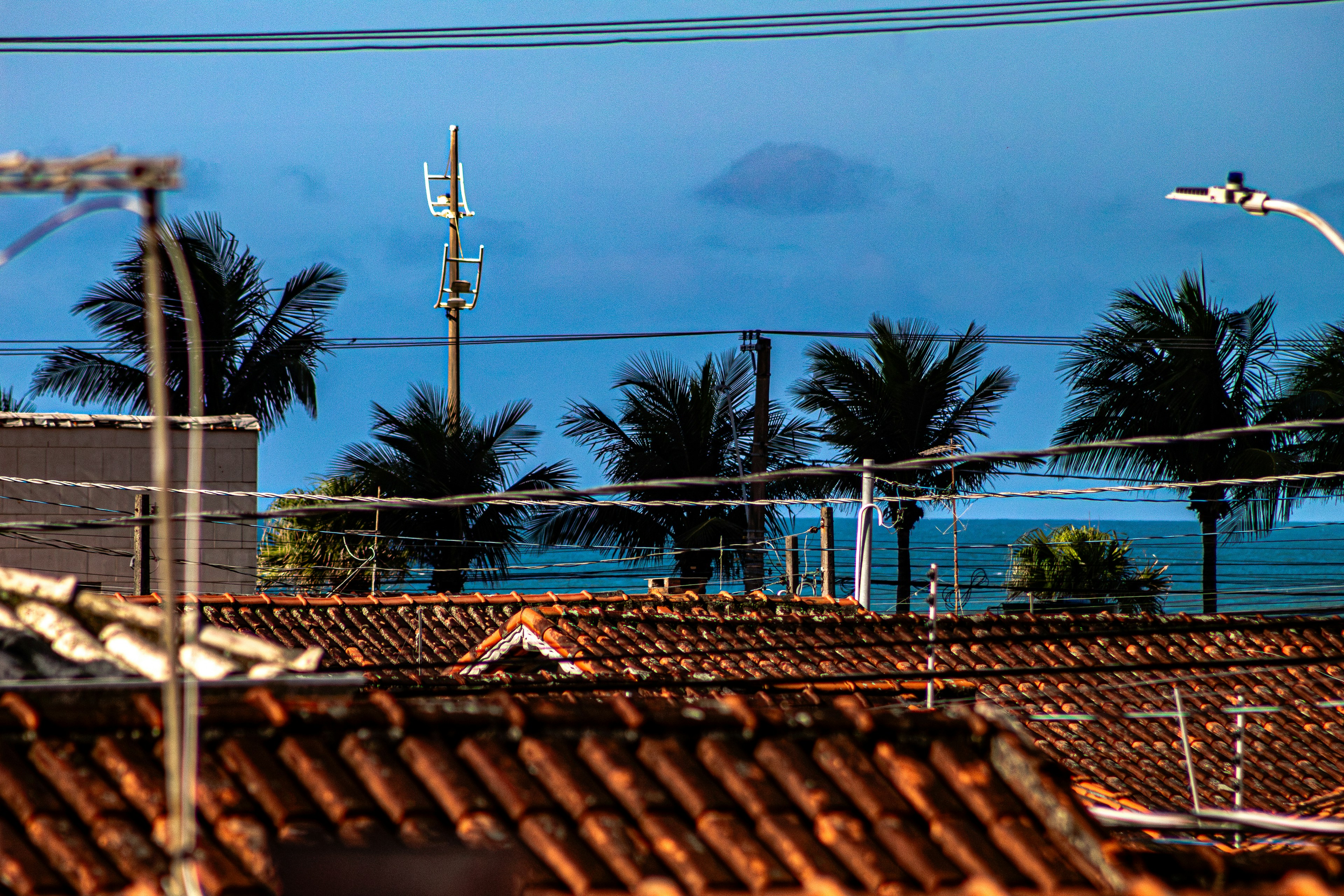 Tiled rooftops, palm trees, and ocean against a blue sky.