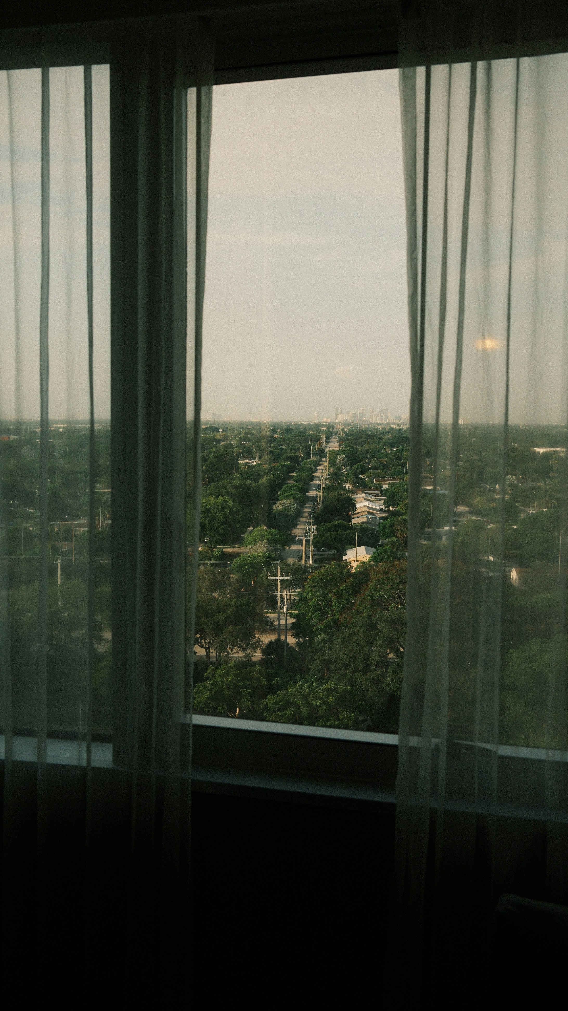 Curtained window overlooking a lush, green urban landscape