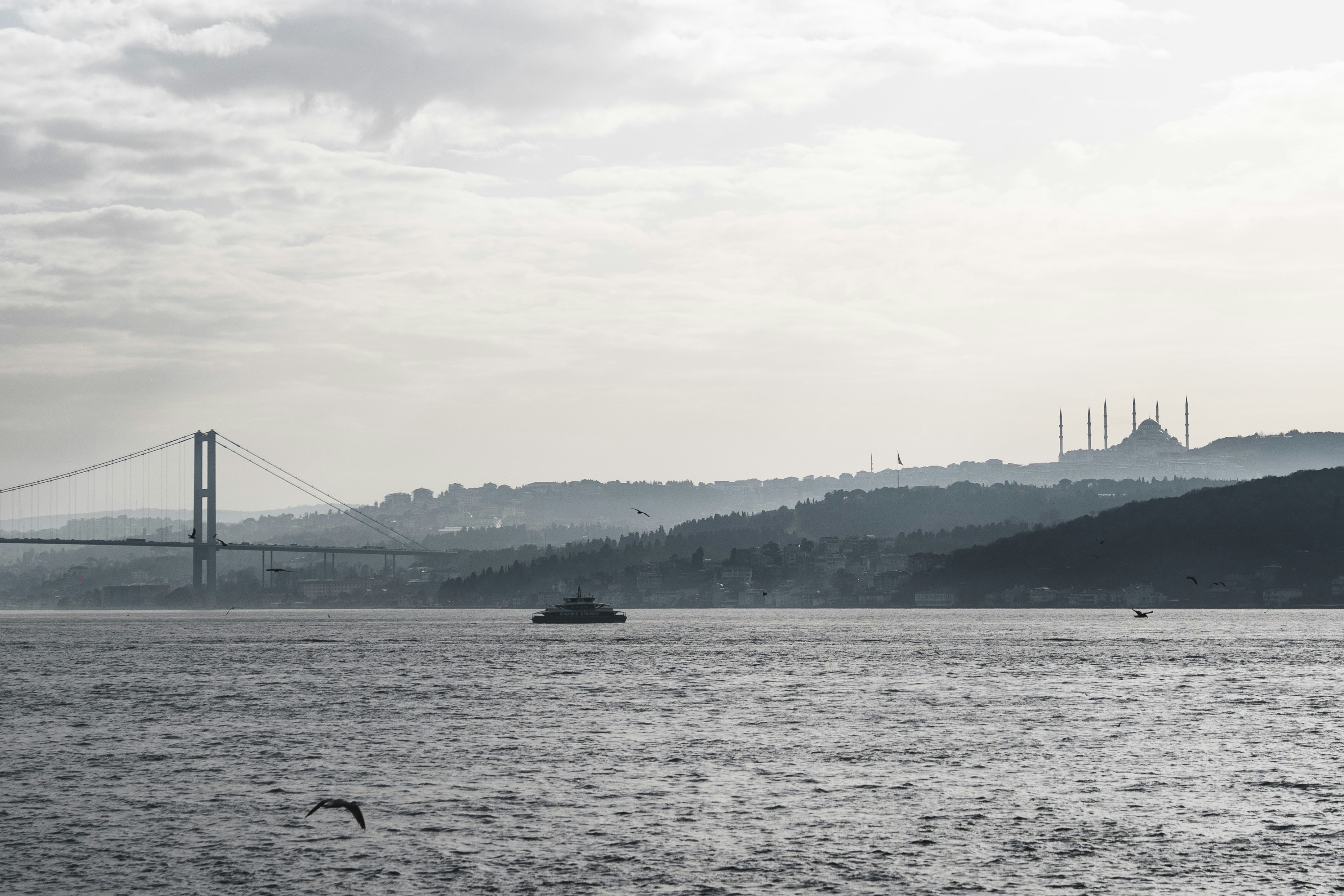 Bosphorus strait with bridge and mosque