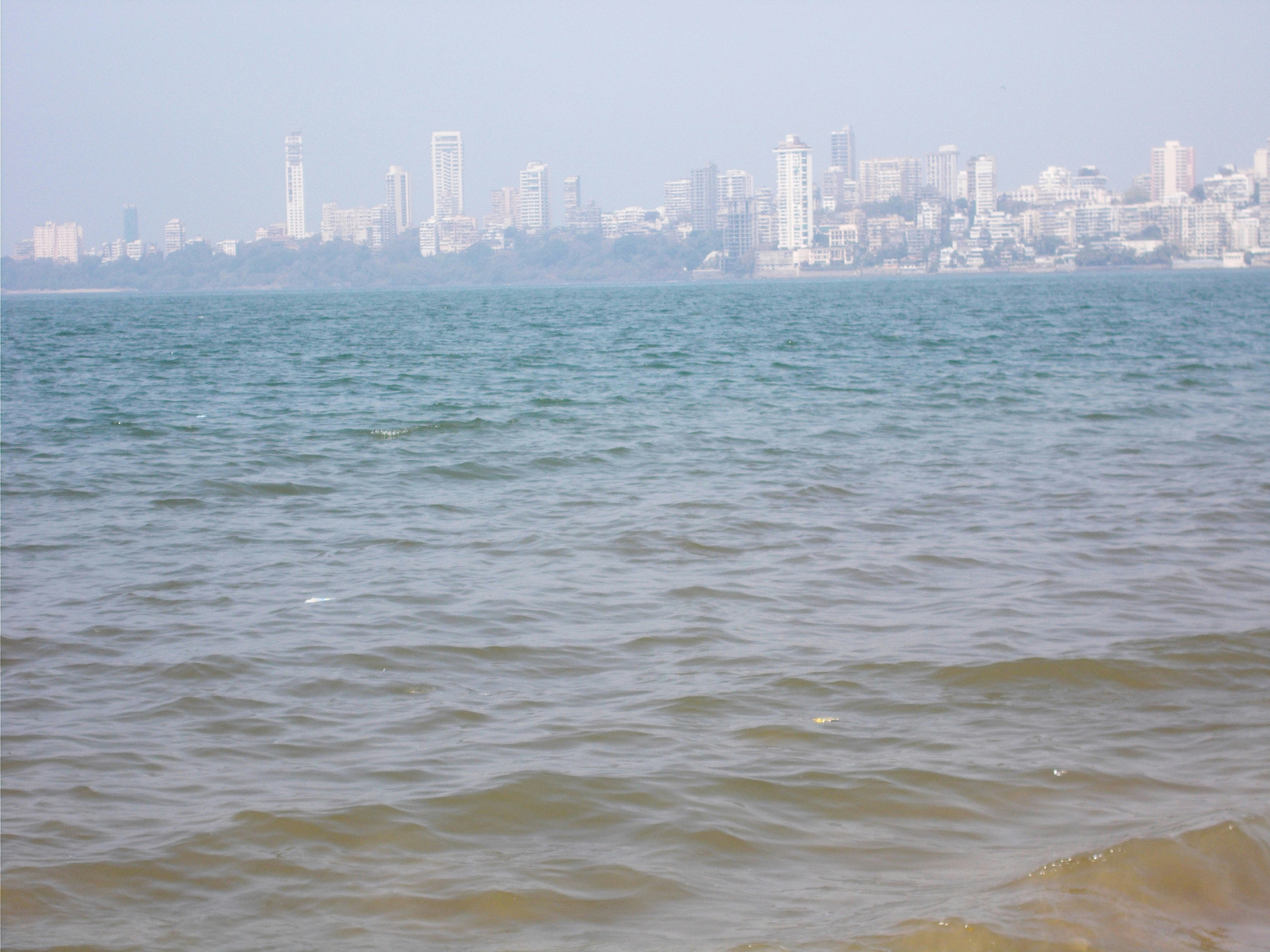 Distant city buildings visible over calm ocean waves.