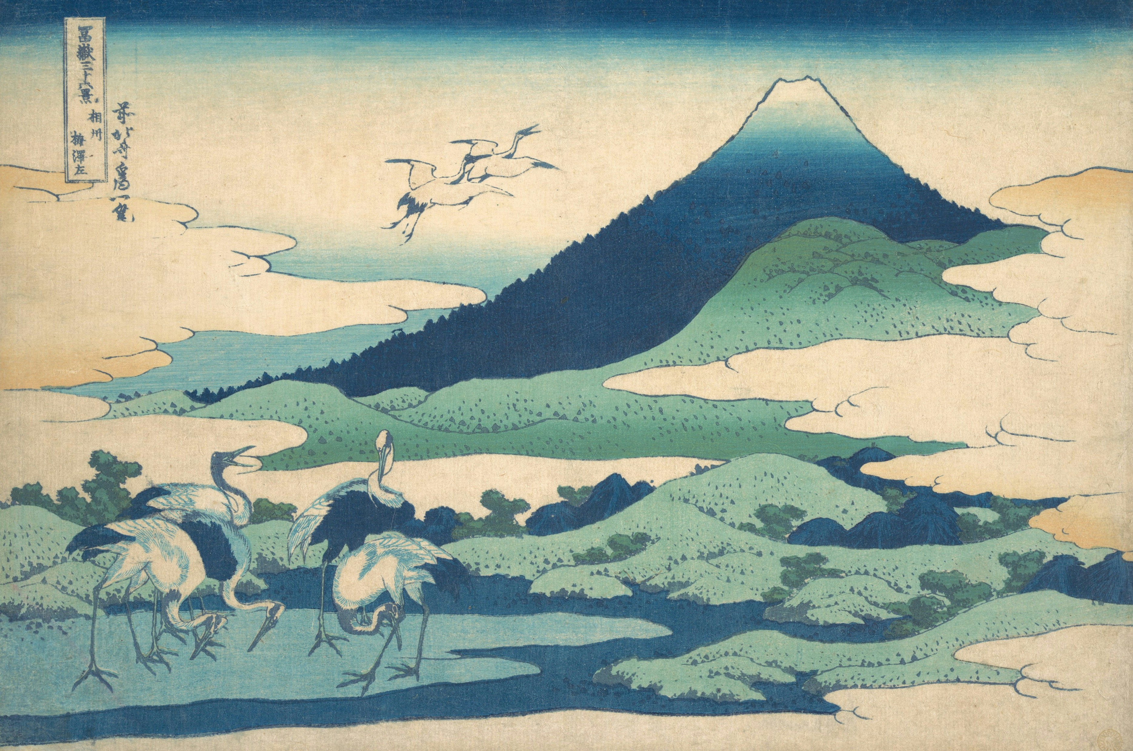 Mount fuji with cranes flying and standing in a landscape