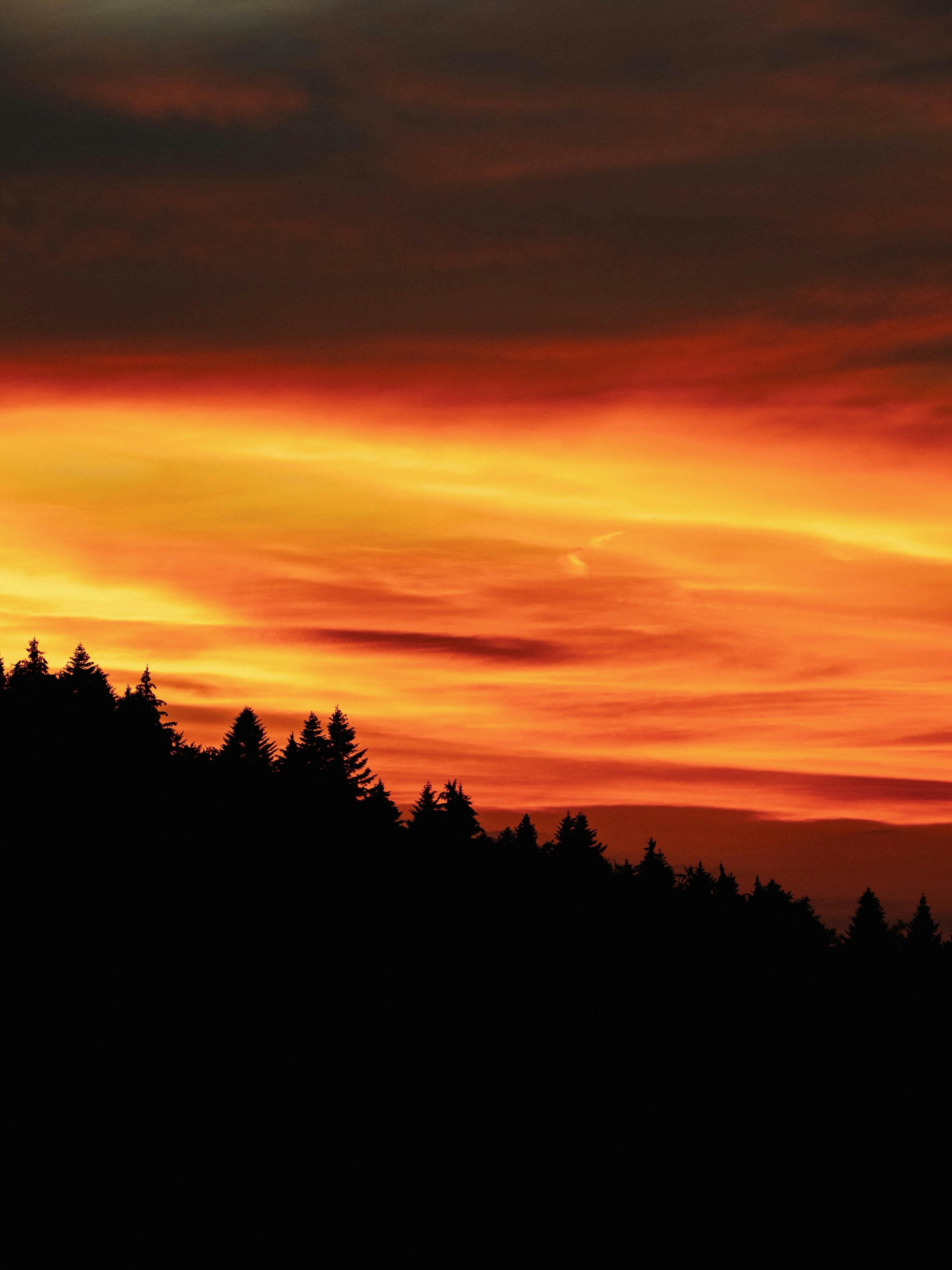 Vibrant orange and red sunset over a silhouetted forest.