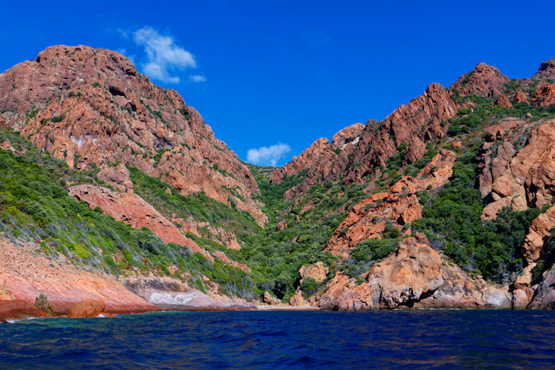 Red rock cliffs and green maquis rising from deep blue water at Scandola, western Corsica