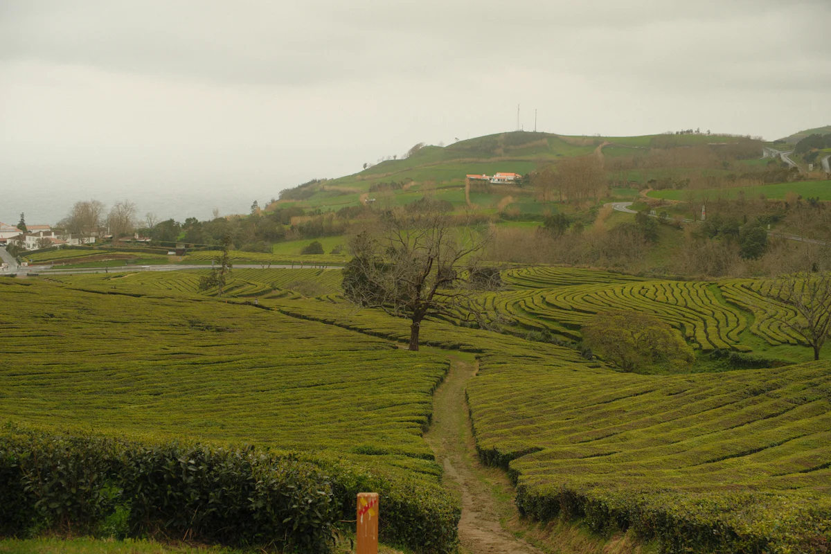 Alipurduar