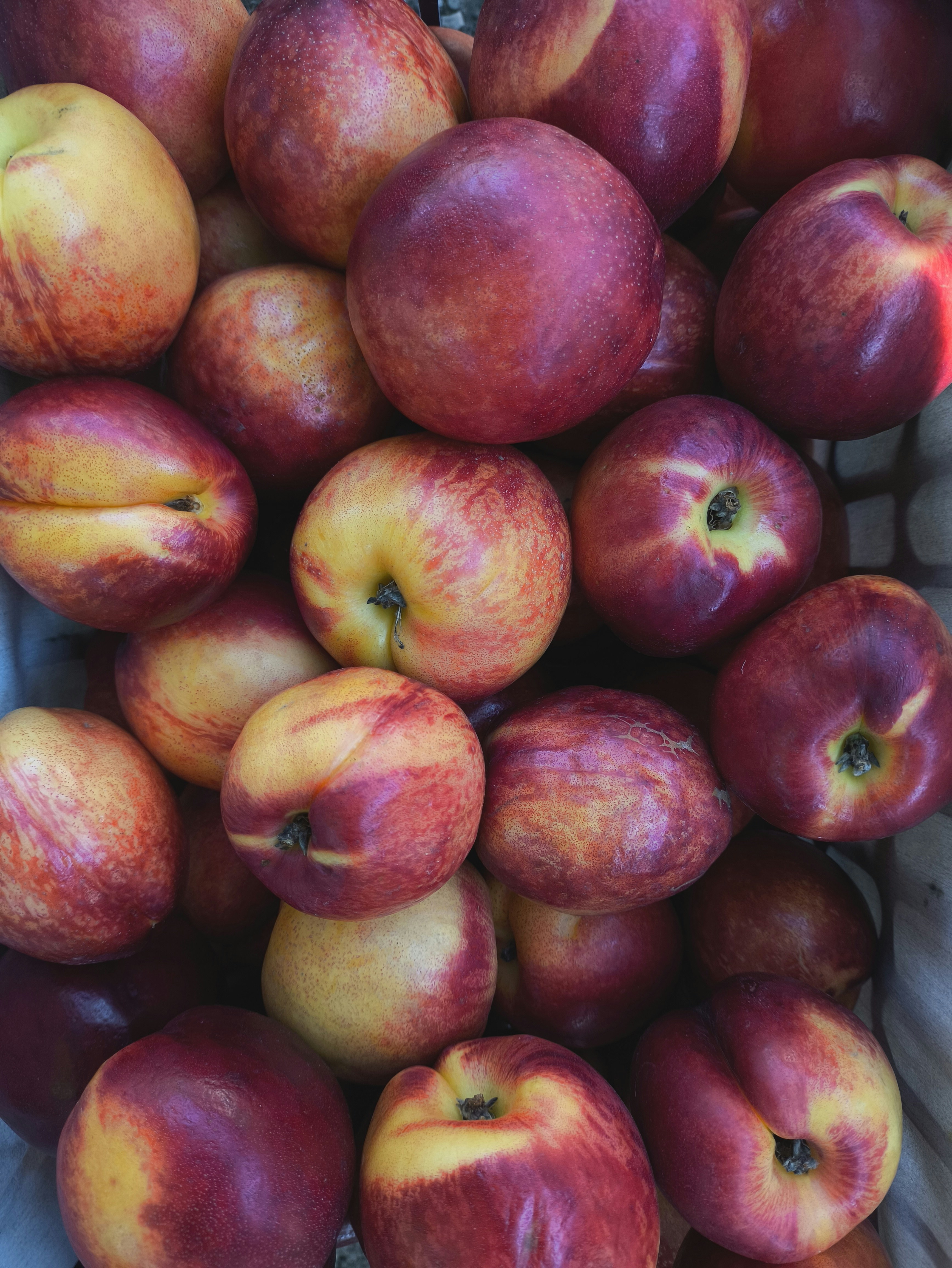 A pile of fresh red and yellow nectarines