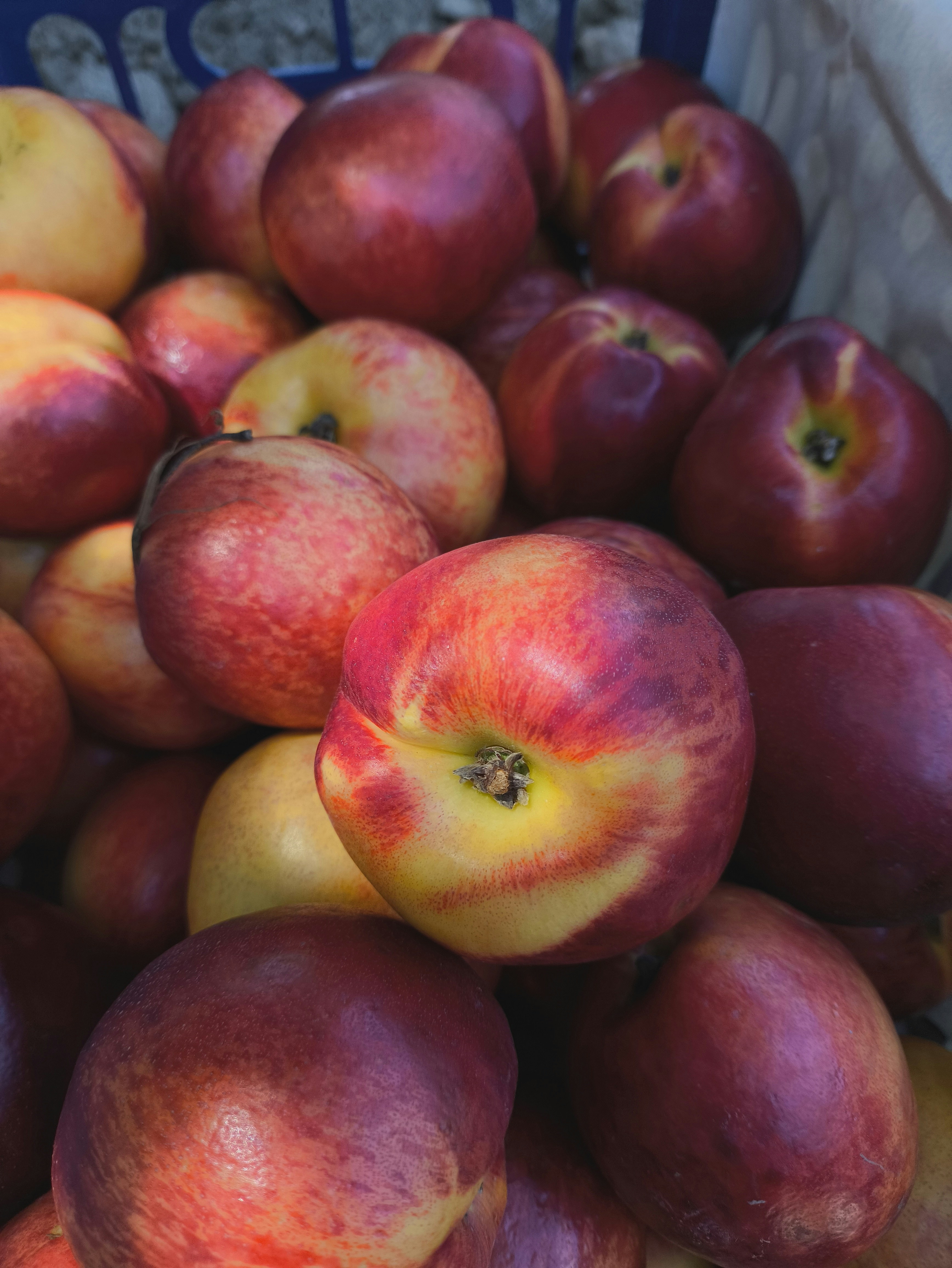 Un tas de nectarines rouges et jaunes mûres.