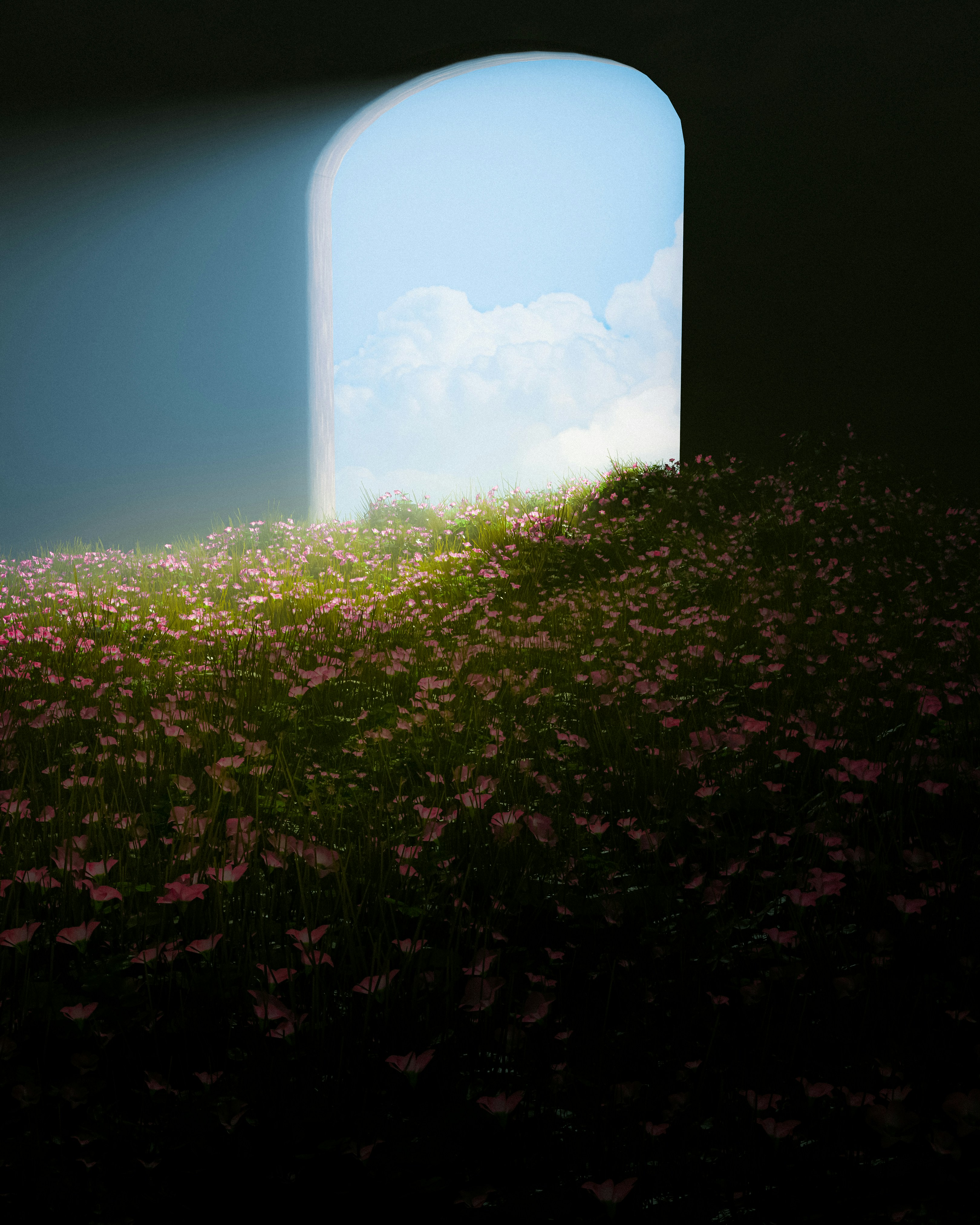 Champ de fleurs roses sous une arche vers un ciel bleu