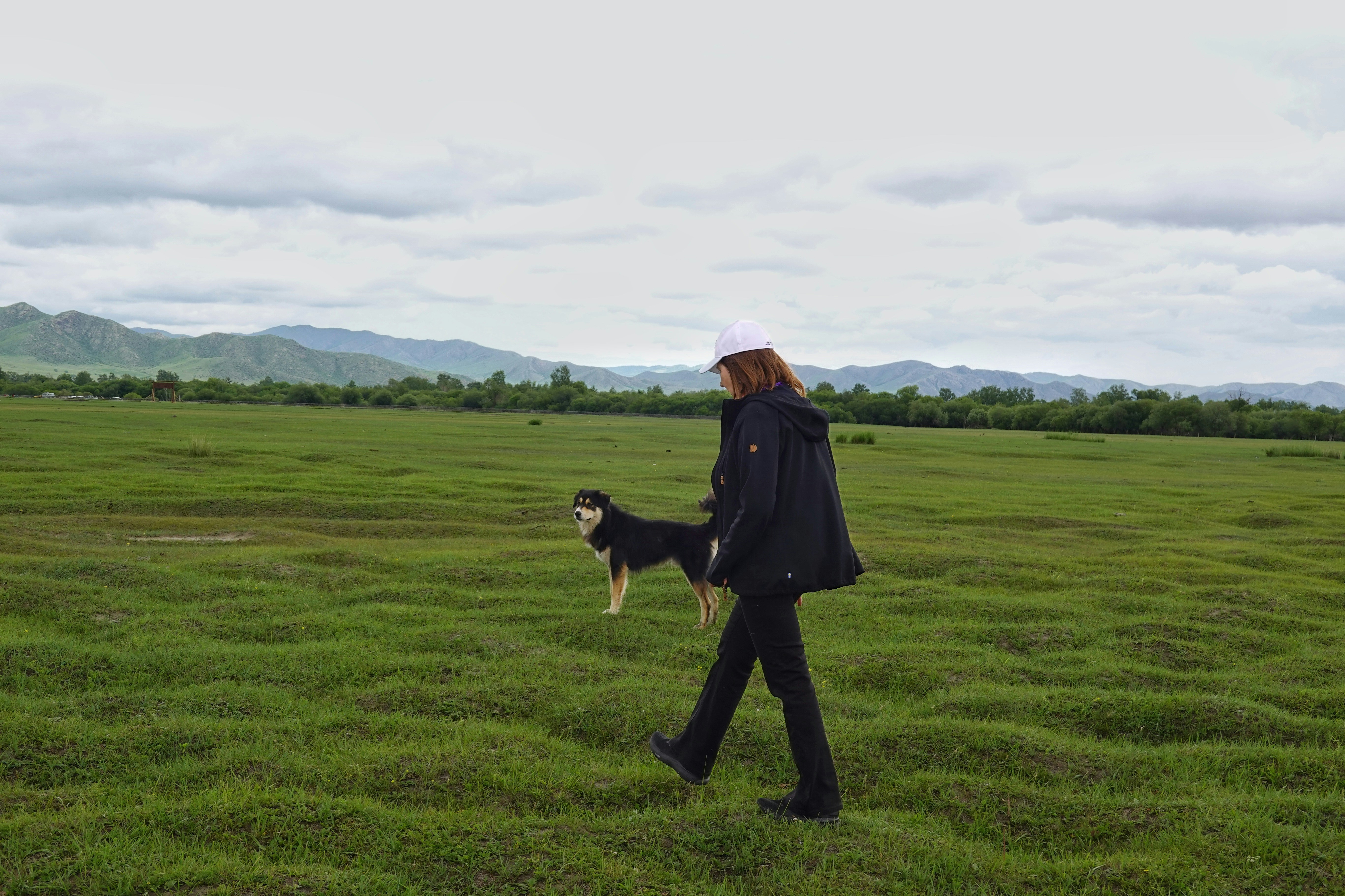 Frau und Hund gehen auf einem grünen Feld mit Bergen spazieren