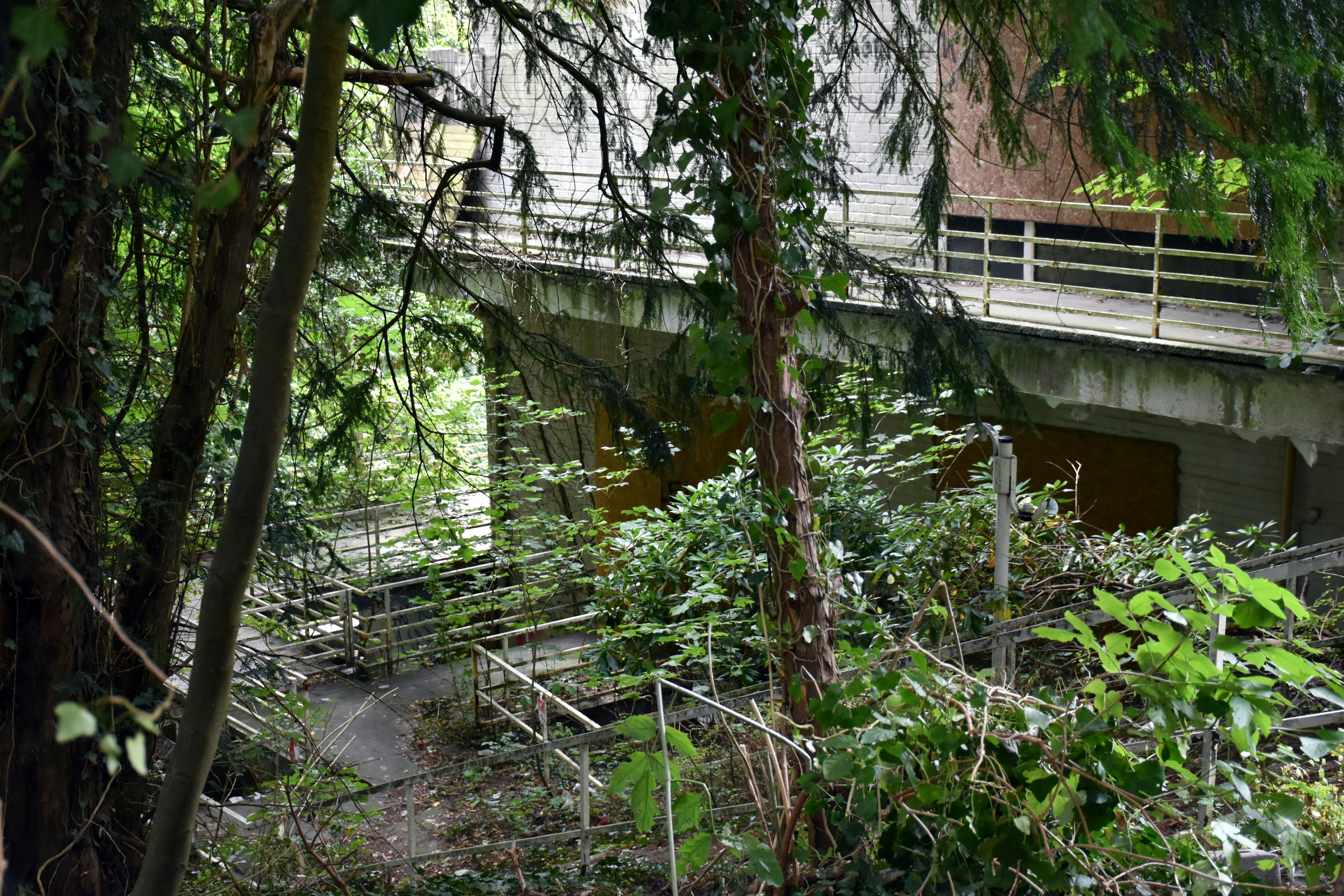 A natureza recupera uma estrutura de concreto abandonada com escadas.