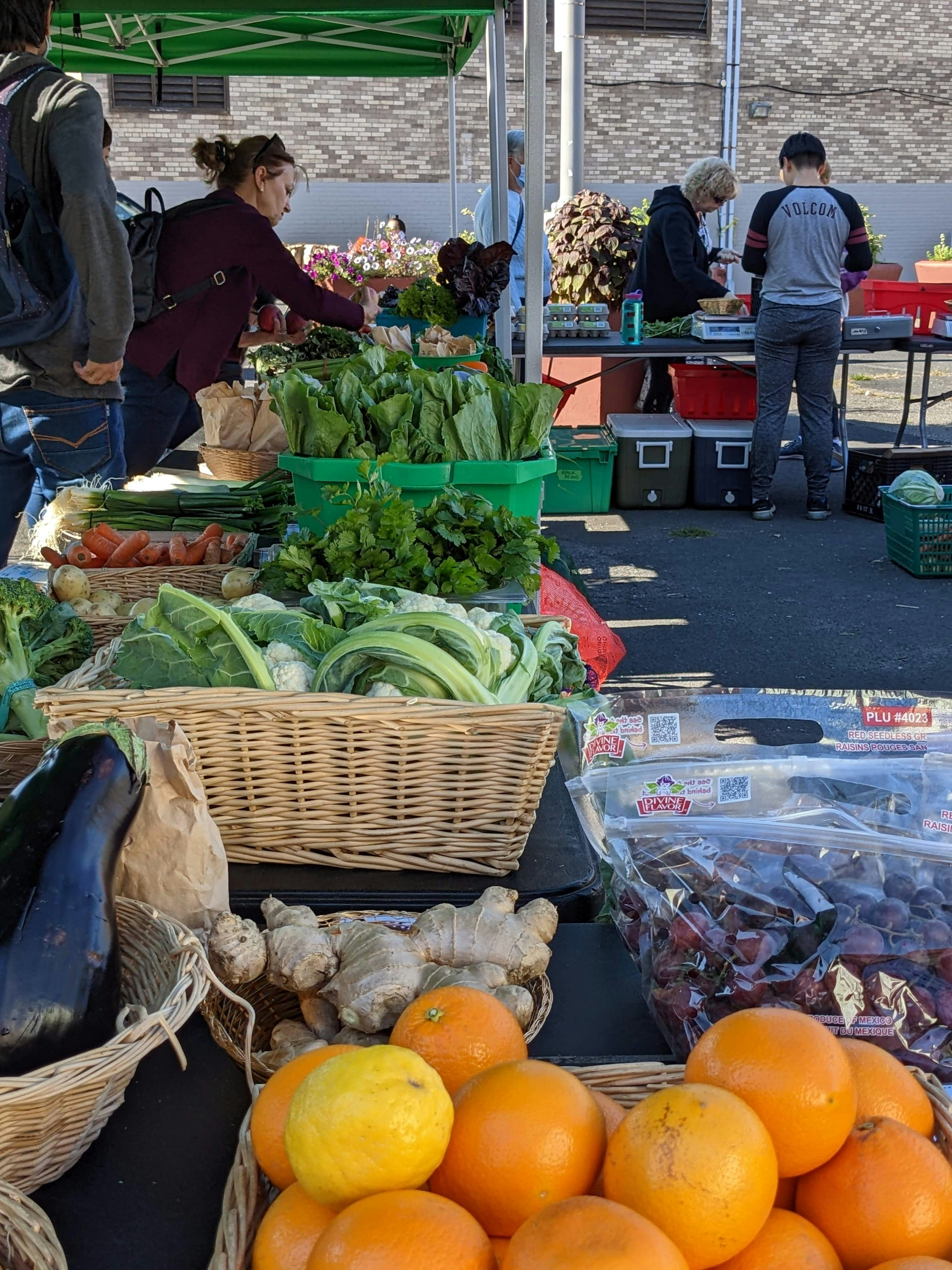 Fresh fruits and vegetables displayed at a bustling farmer's market.
