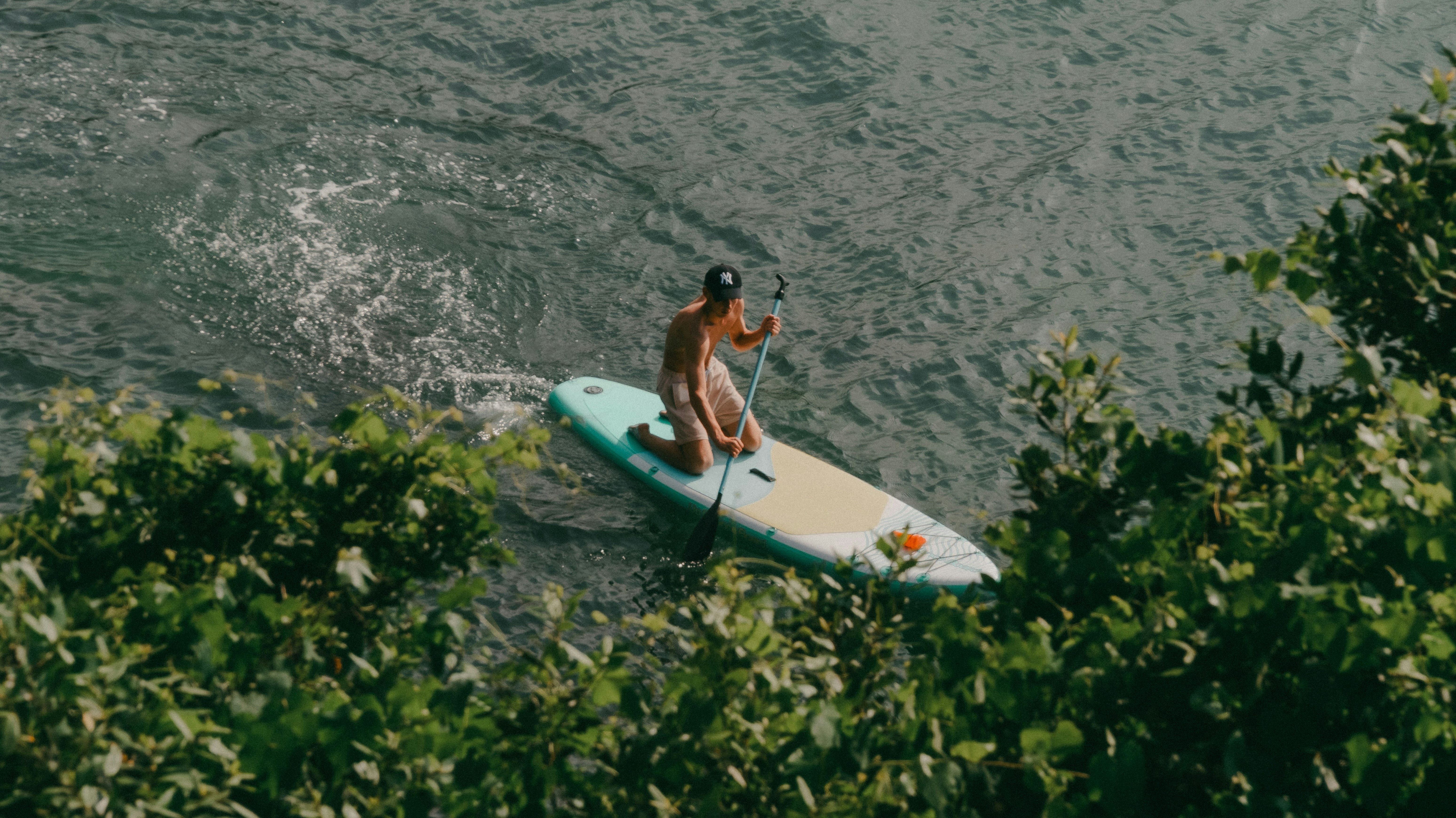 A person paddleboarding on water, partially obscured by green leaves.