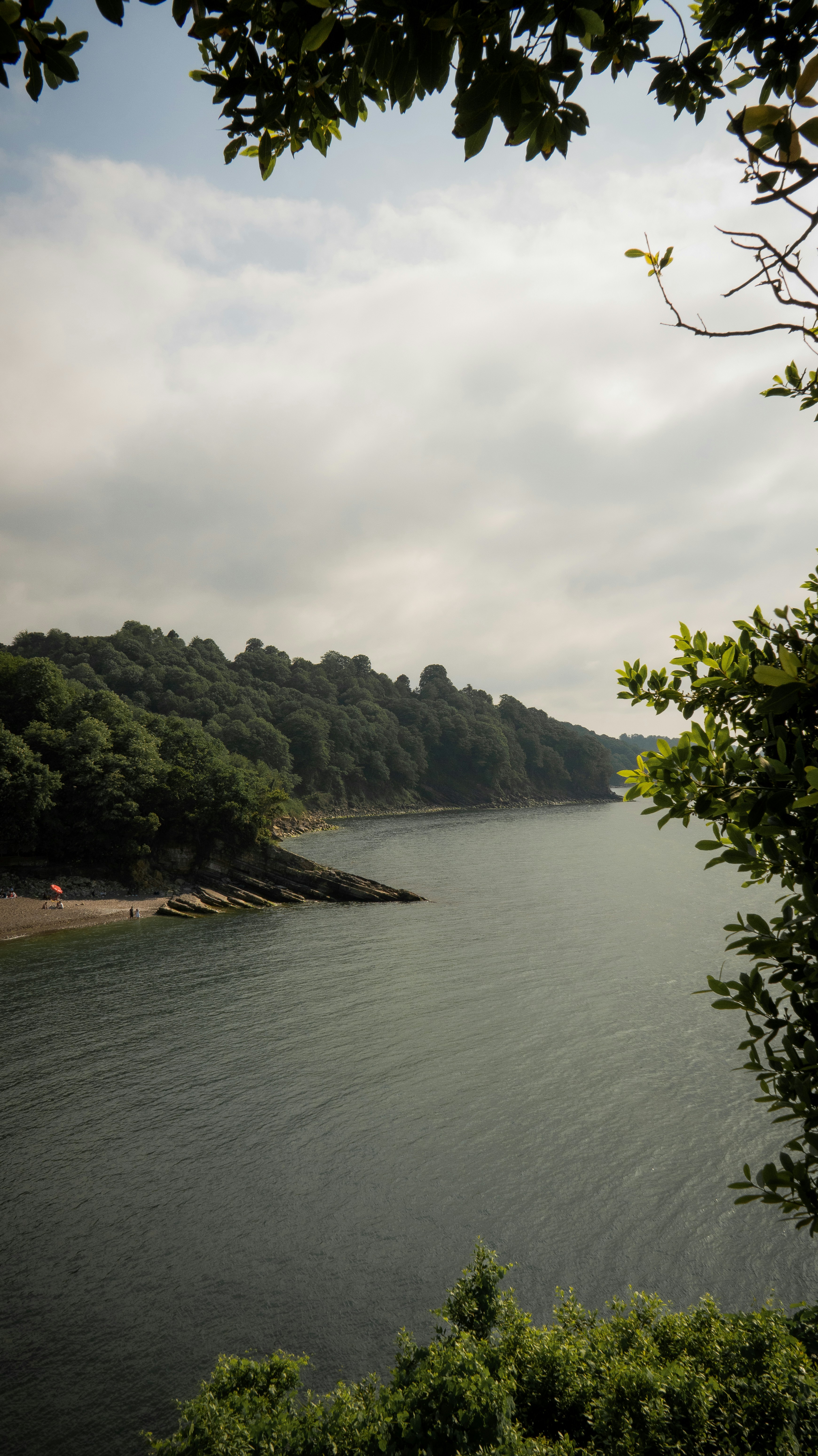 Calm bay with forested coastline and cloudy sky.
