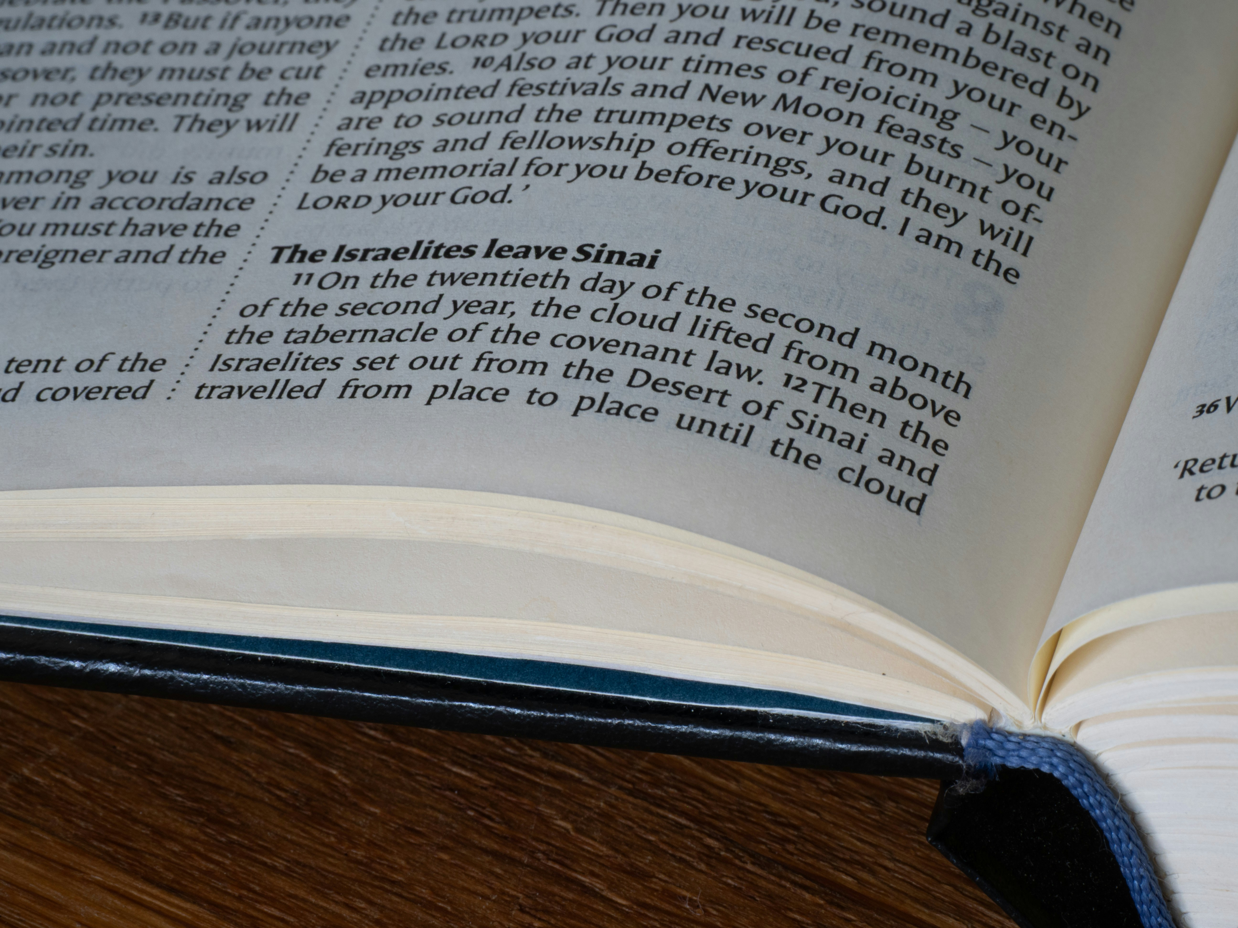 Pages of an open book with visible text.
