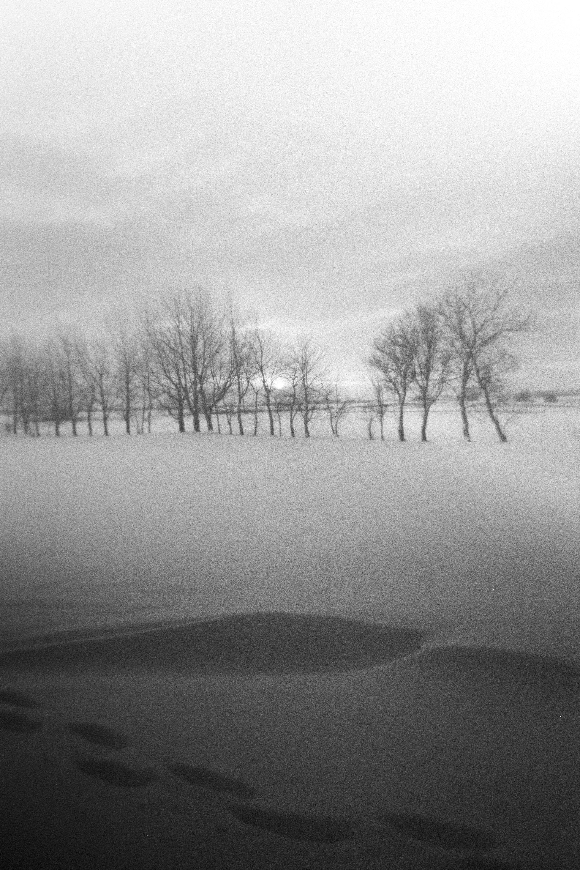 Snowy field with bare trees and footprints