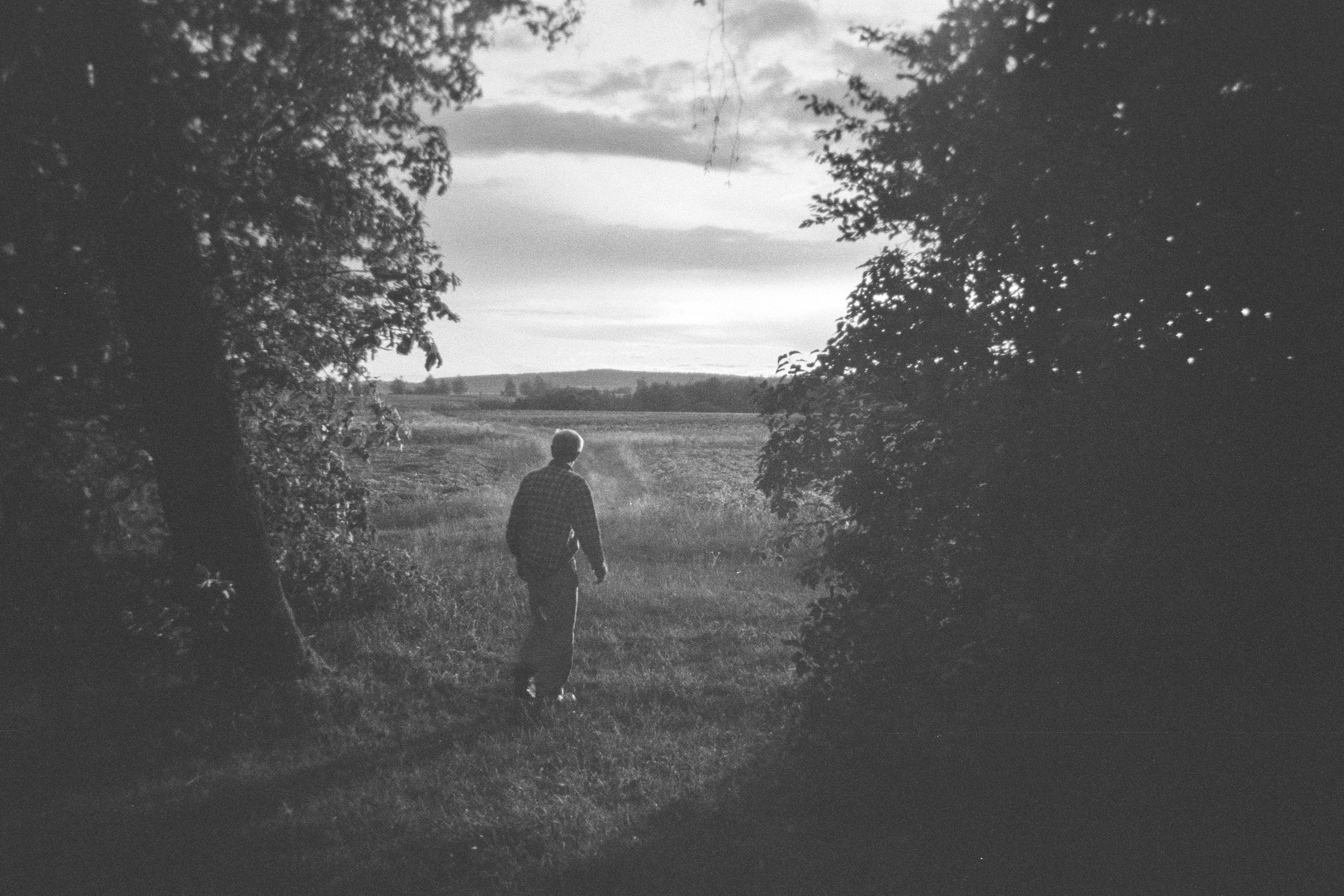 A person walks into a field framed by dark trees