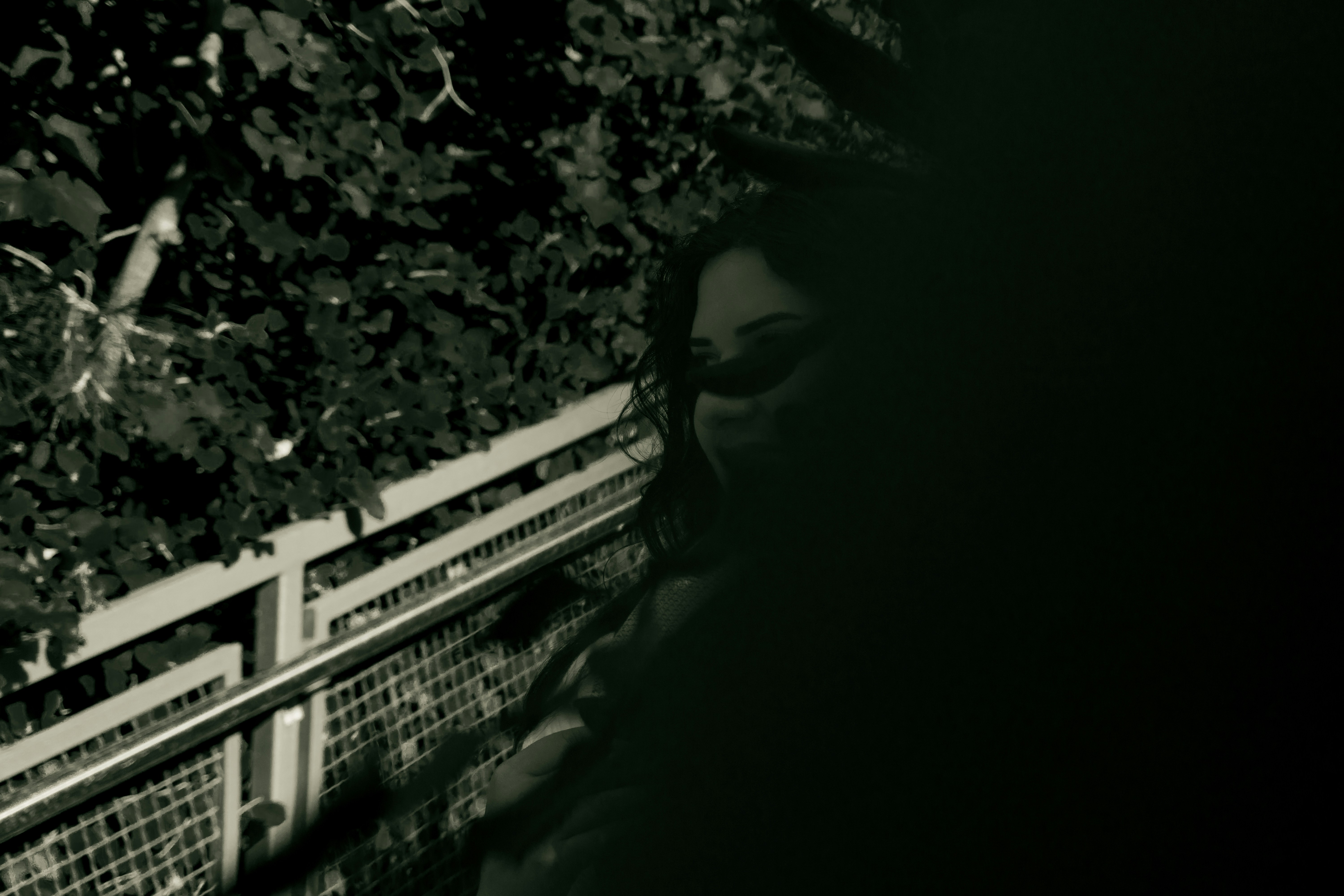 Dark foliage and a fence with deep shadows.