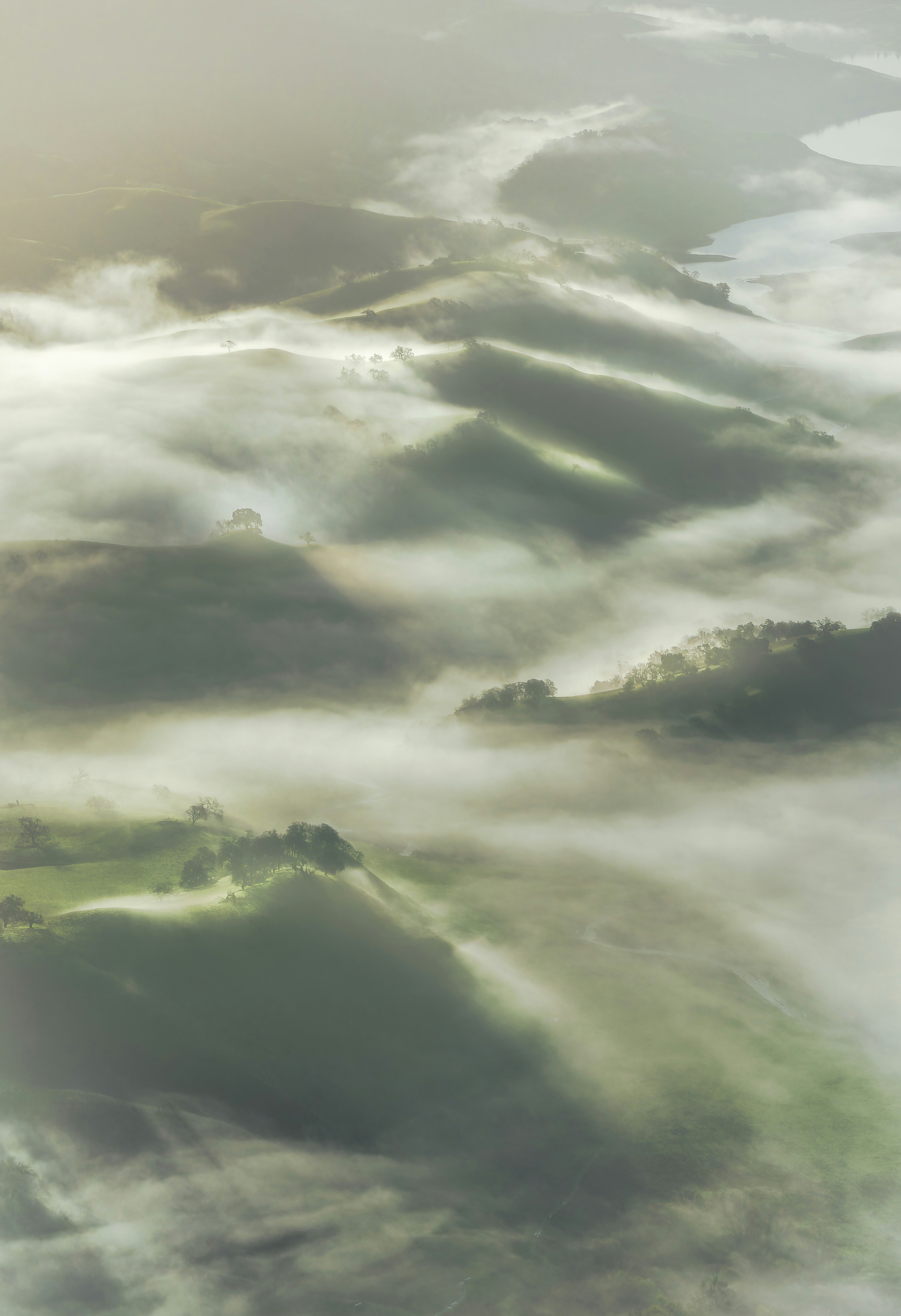 Rolling green hills shrouded in morning fog