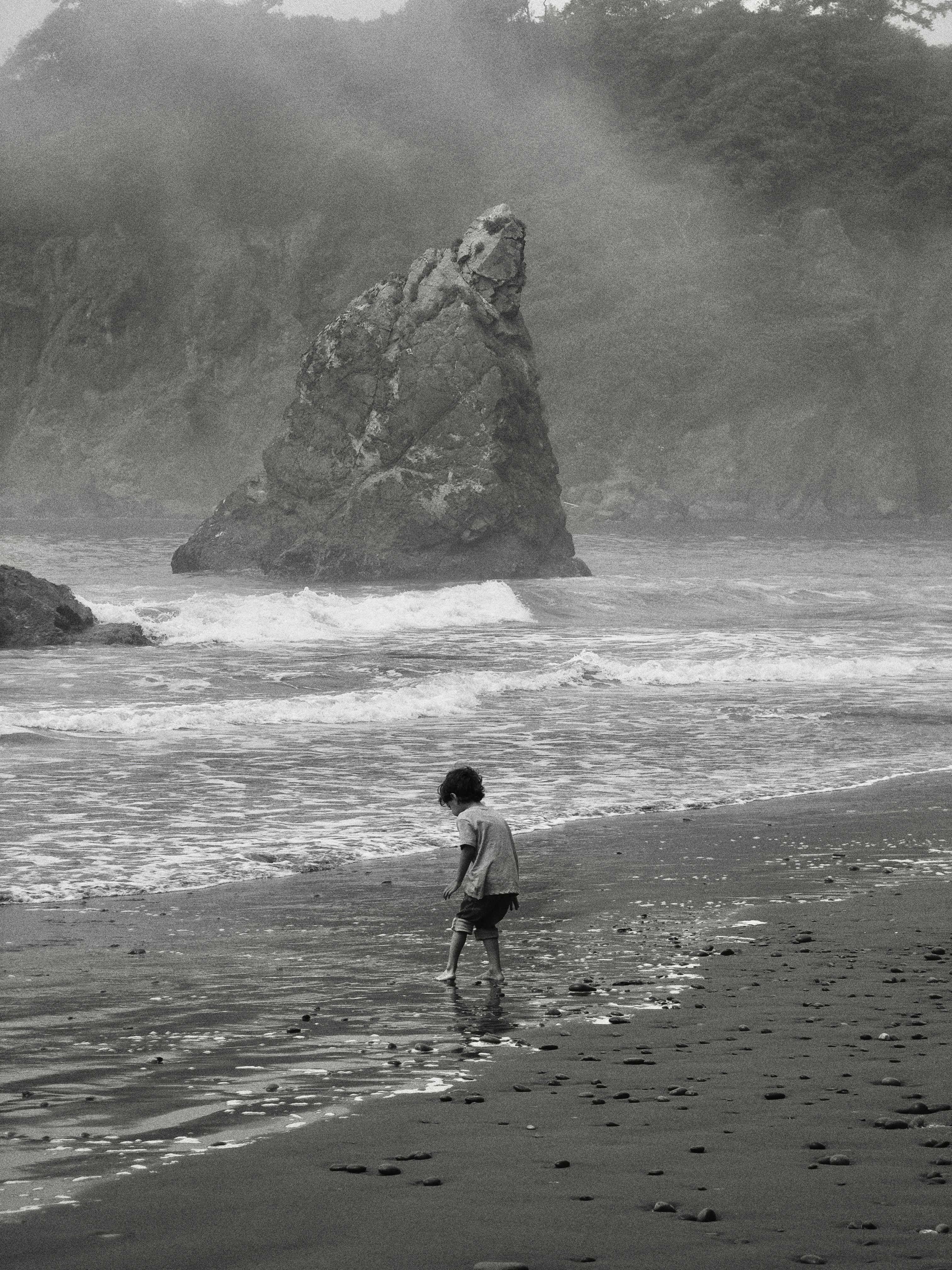 Child exploring a foggy beach with a prominent sea stack.