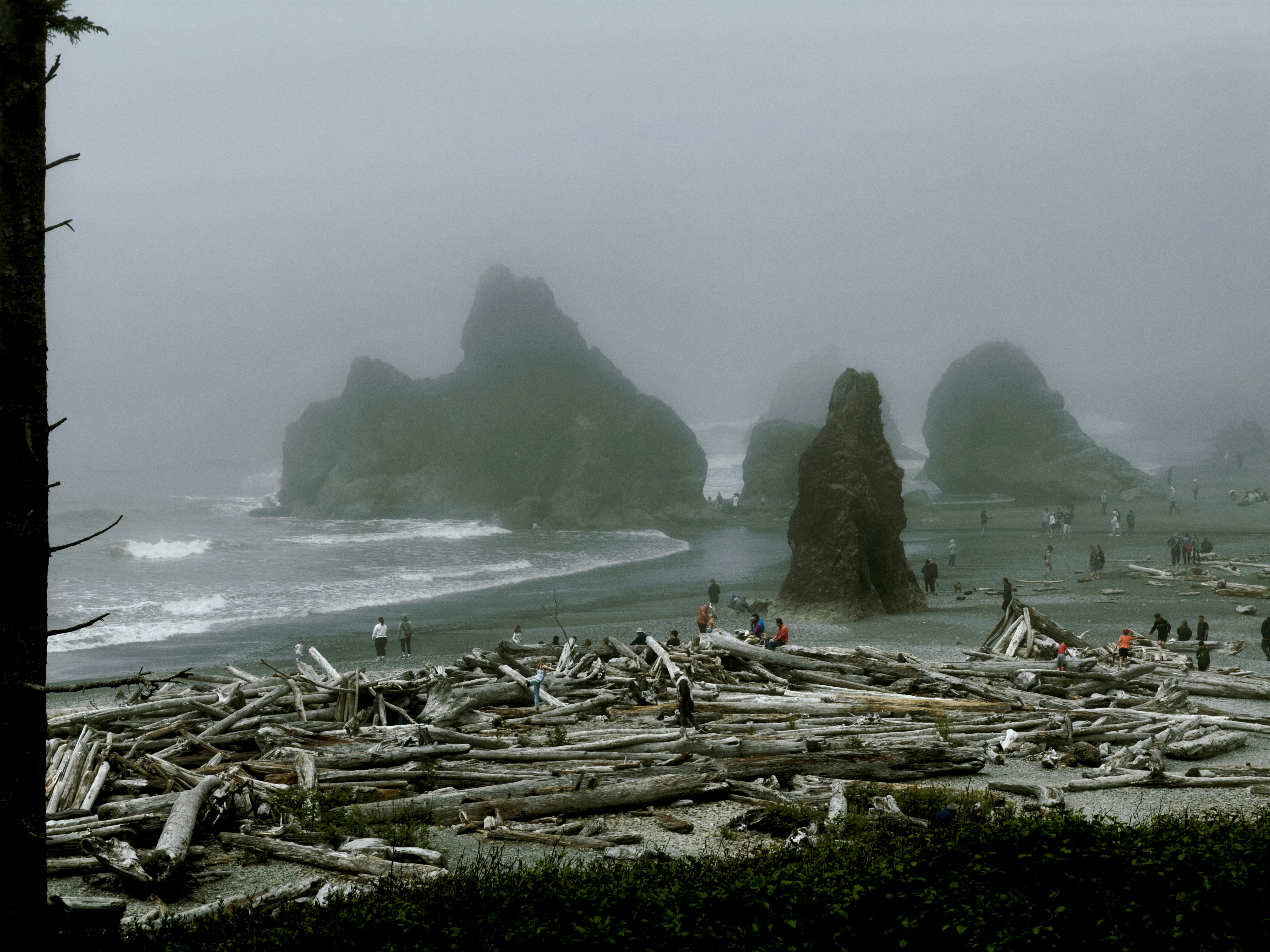 Misty coastline with sea stacks, driftwood, and distant people.