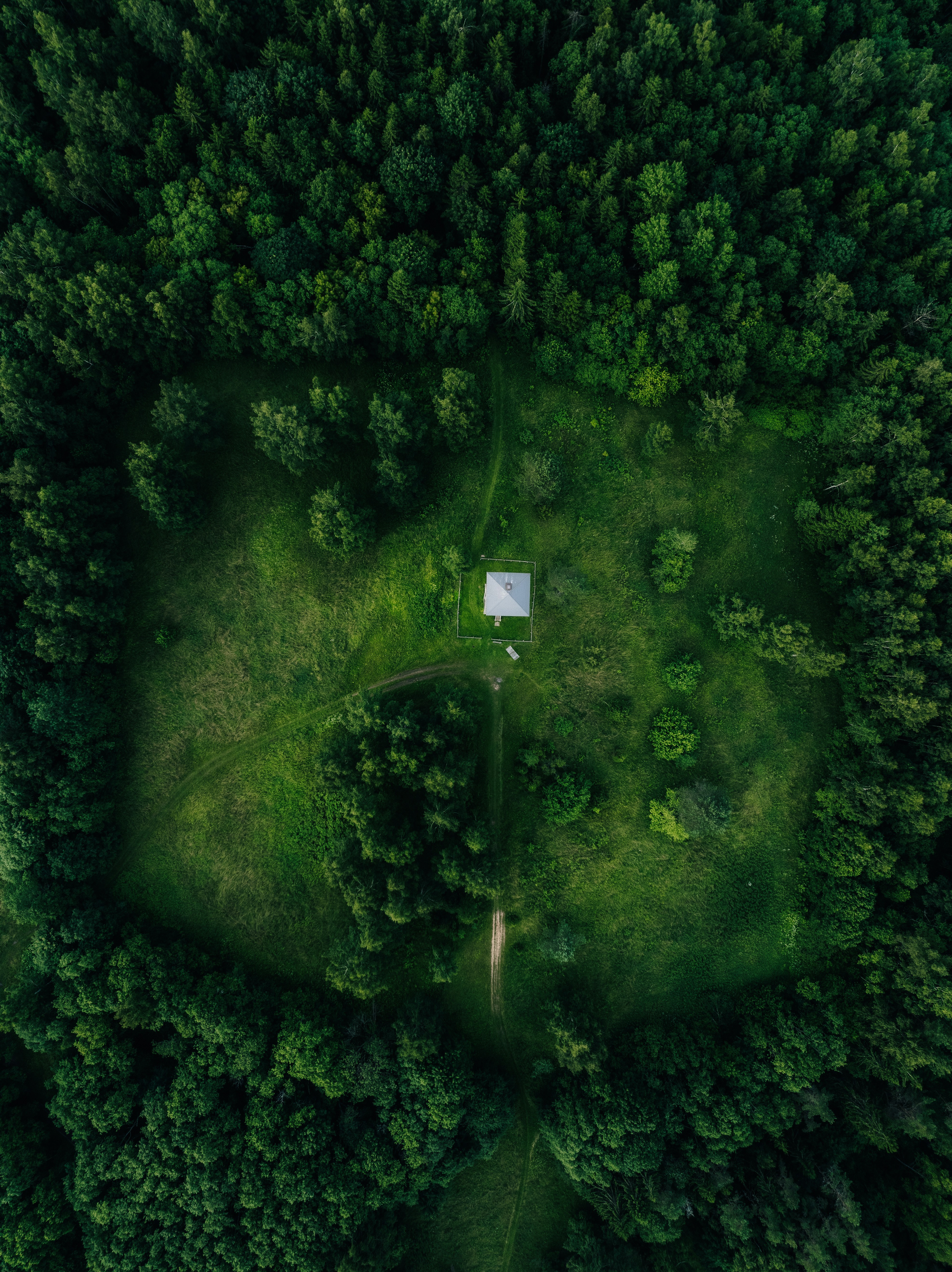 Aerial view of a small house in a forest clearing.