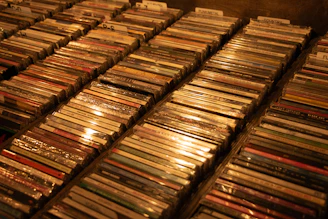 Rows of cds or dvds neatly organized in a store.