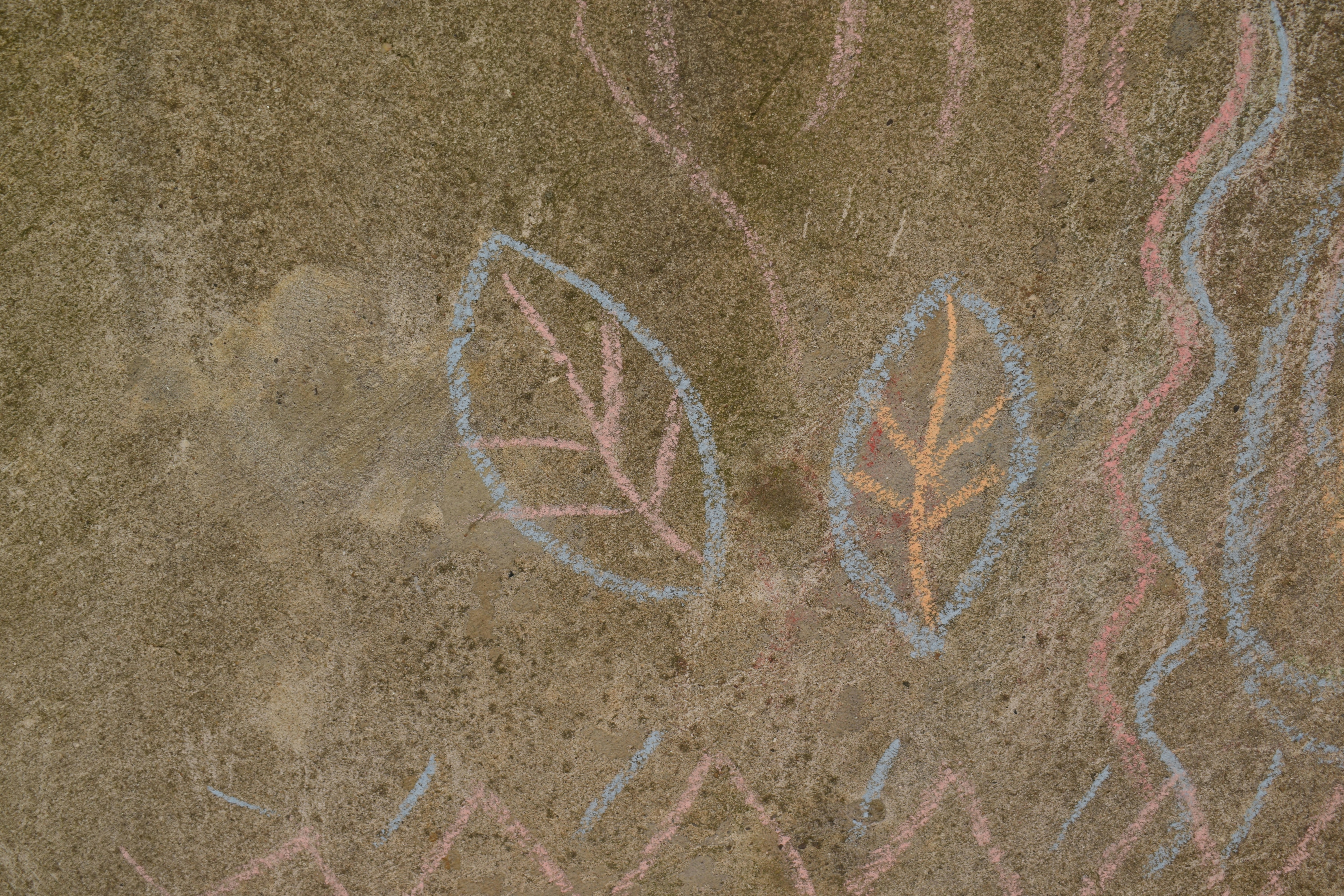 Hand-drawn chalk leaves on a brown textured background.