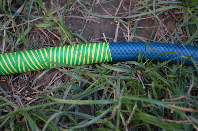 Two garden hoses joined together, lying in the grass