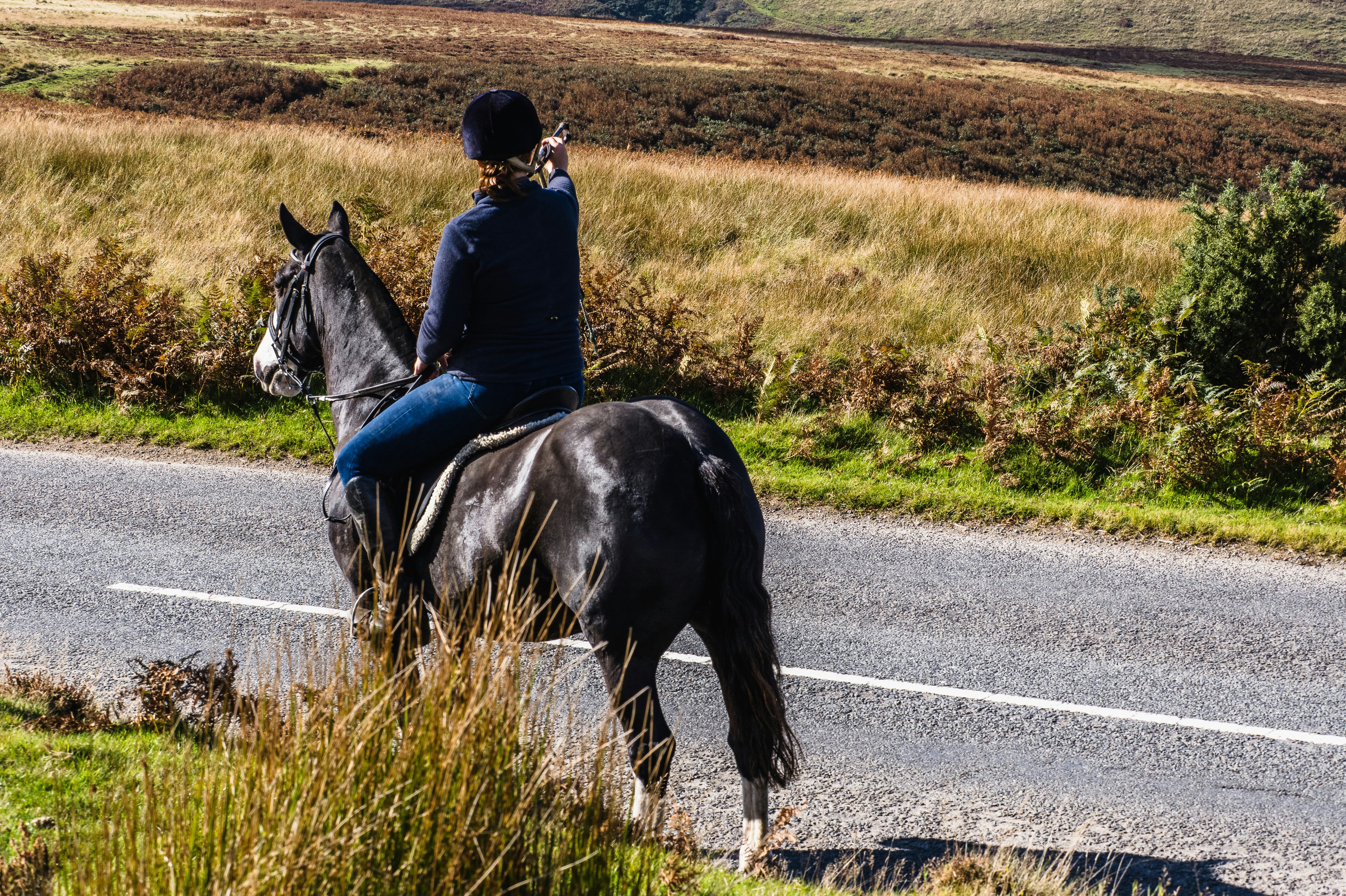 A person on horseback points along a rural road.