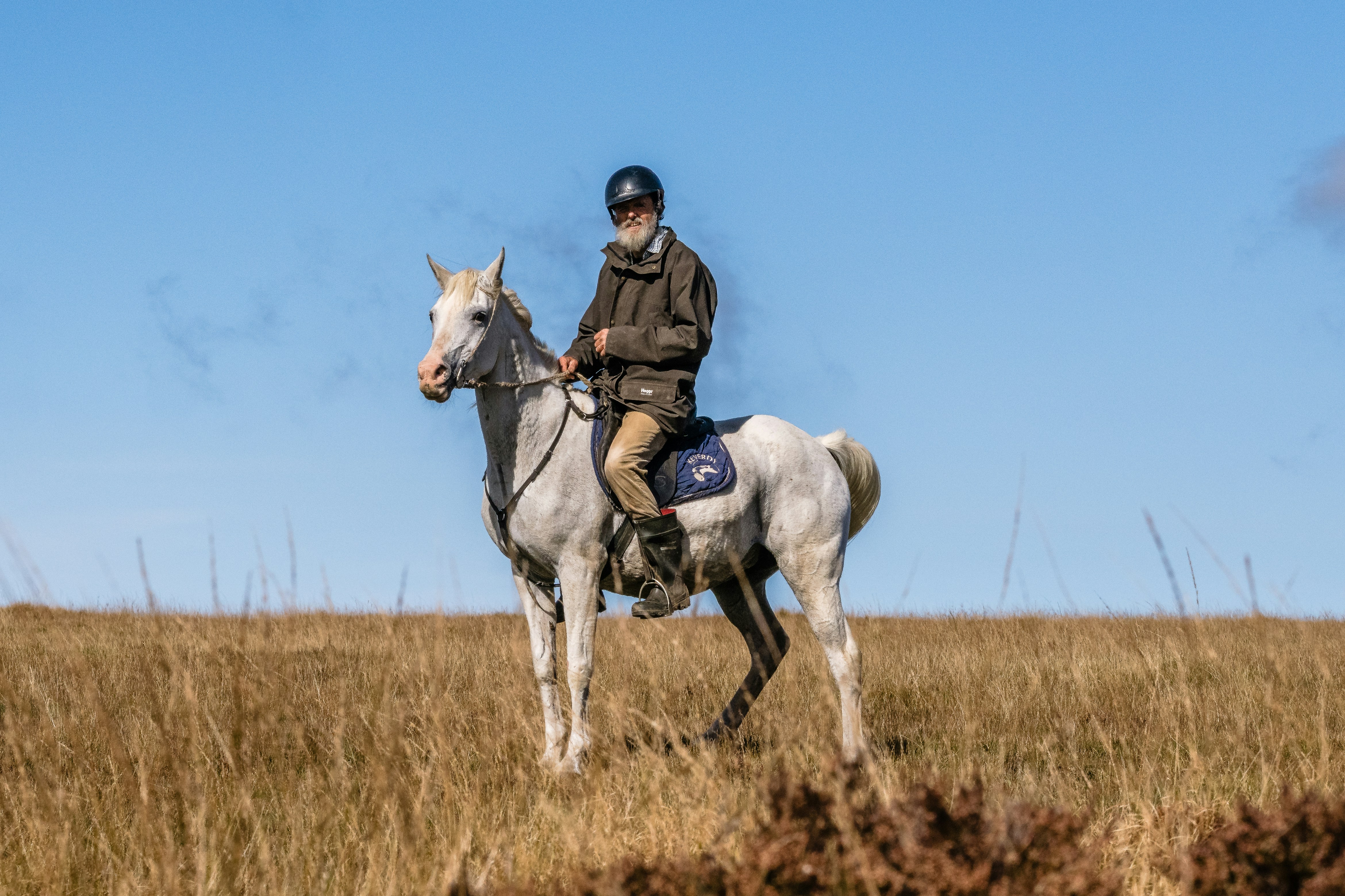 A person riding a white horse in a grassy field.