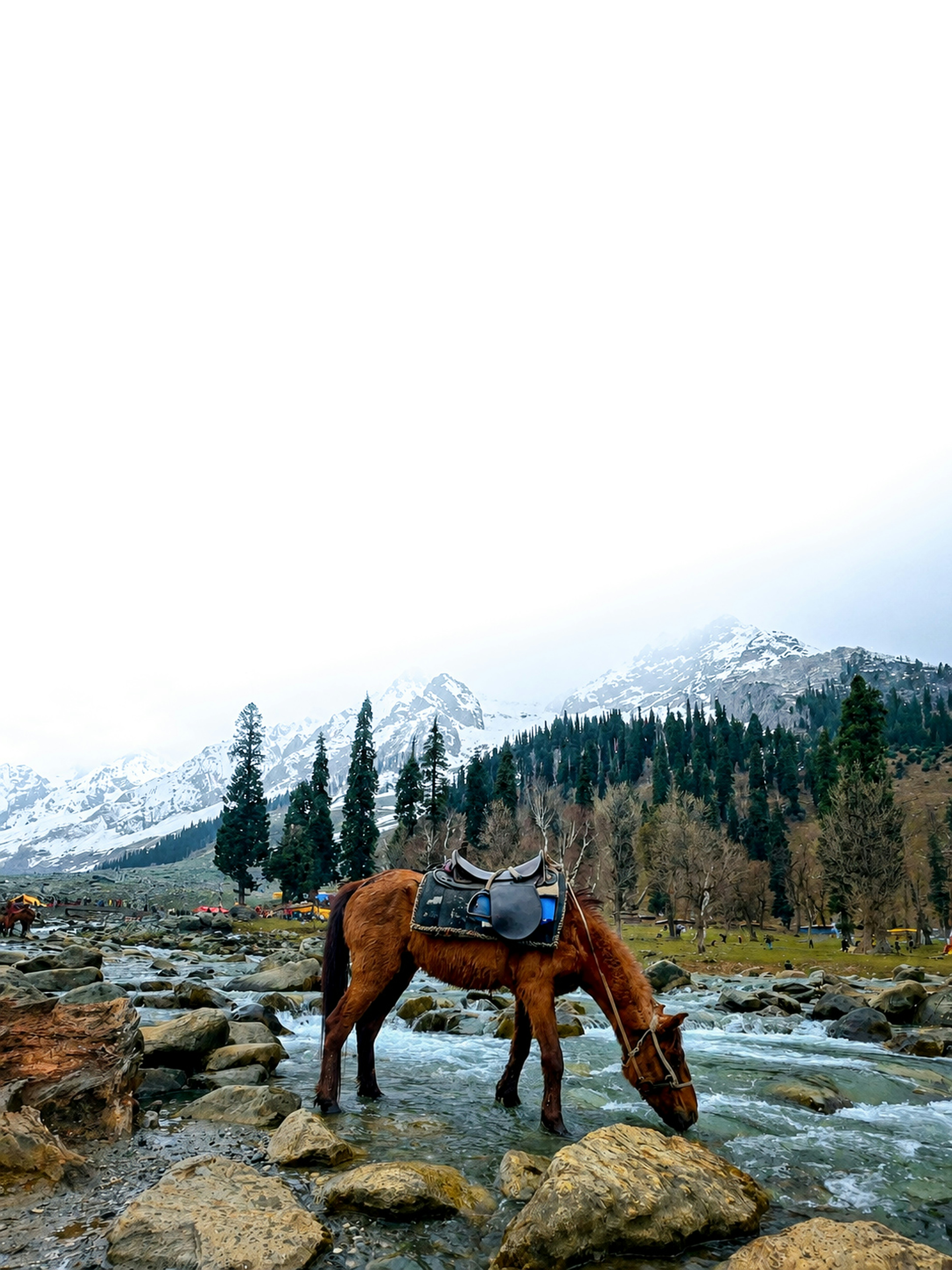 Horse drinking from a rocky stream with snow-capped mountains
