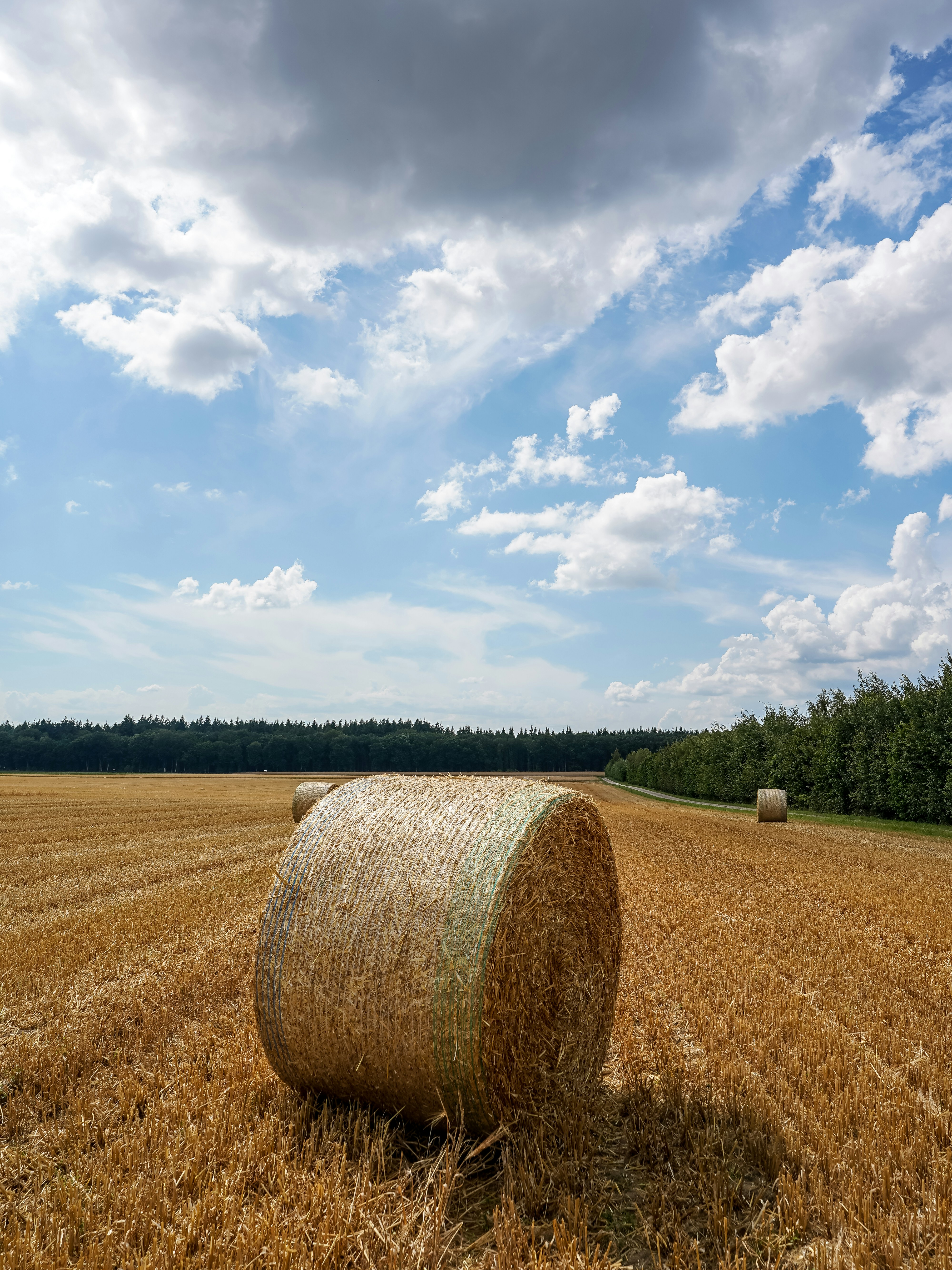 Large hay bale in a golden field with trees.
