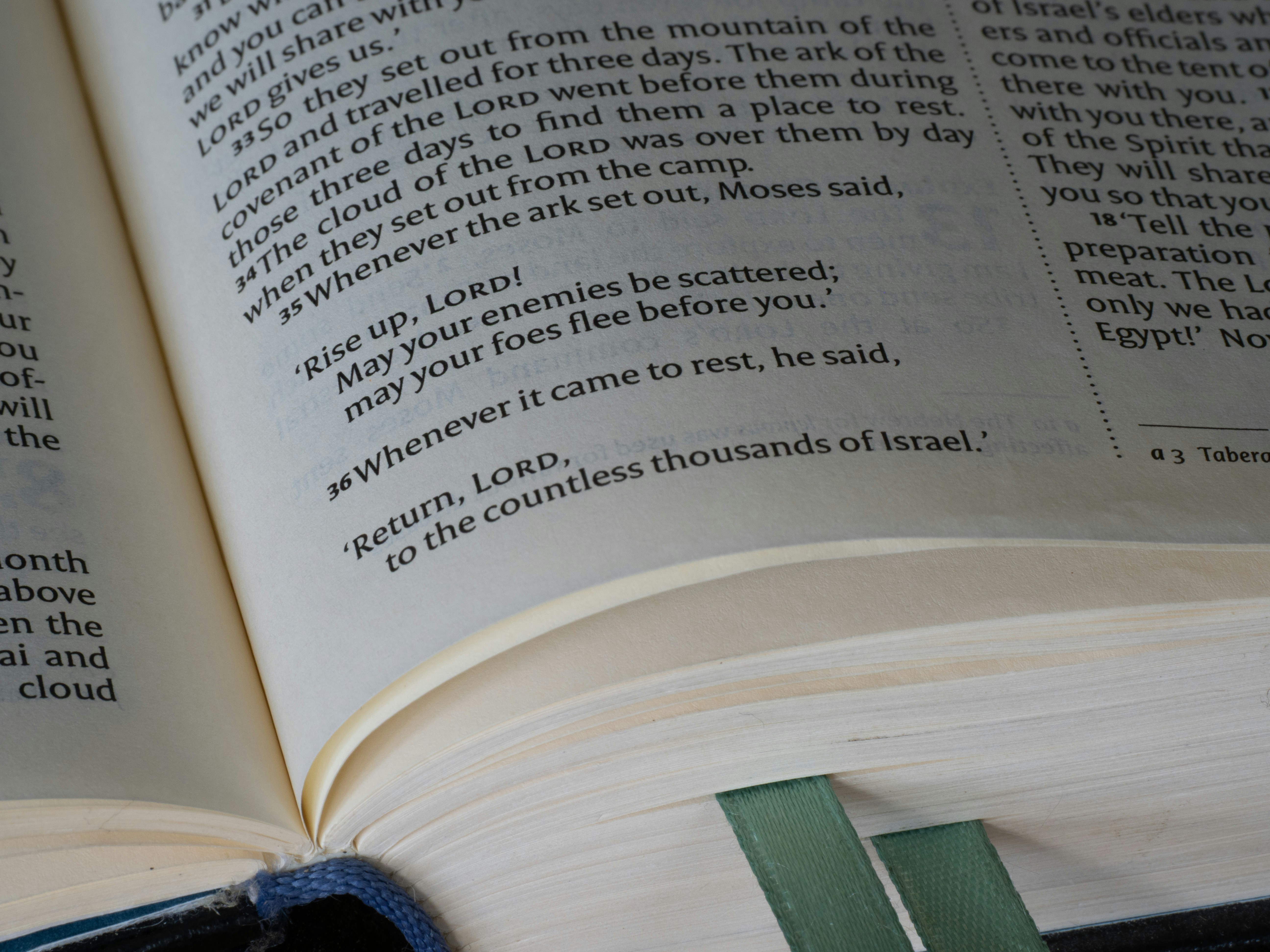 An open book with visible text and green ribbon bookmarks.