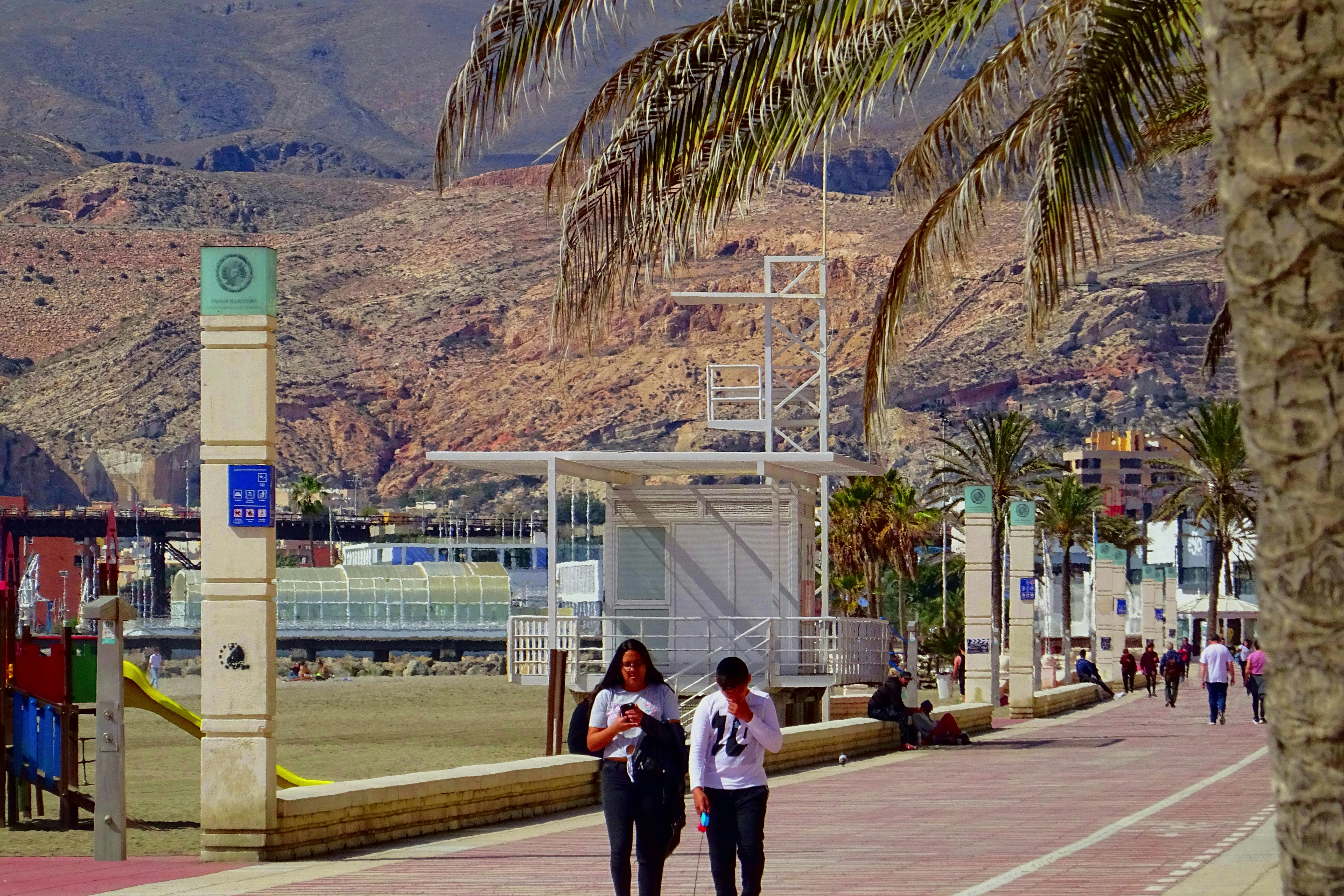 Paseo marítimo con palmeras junto a la playa