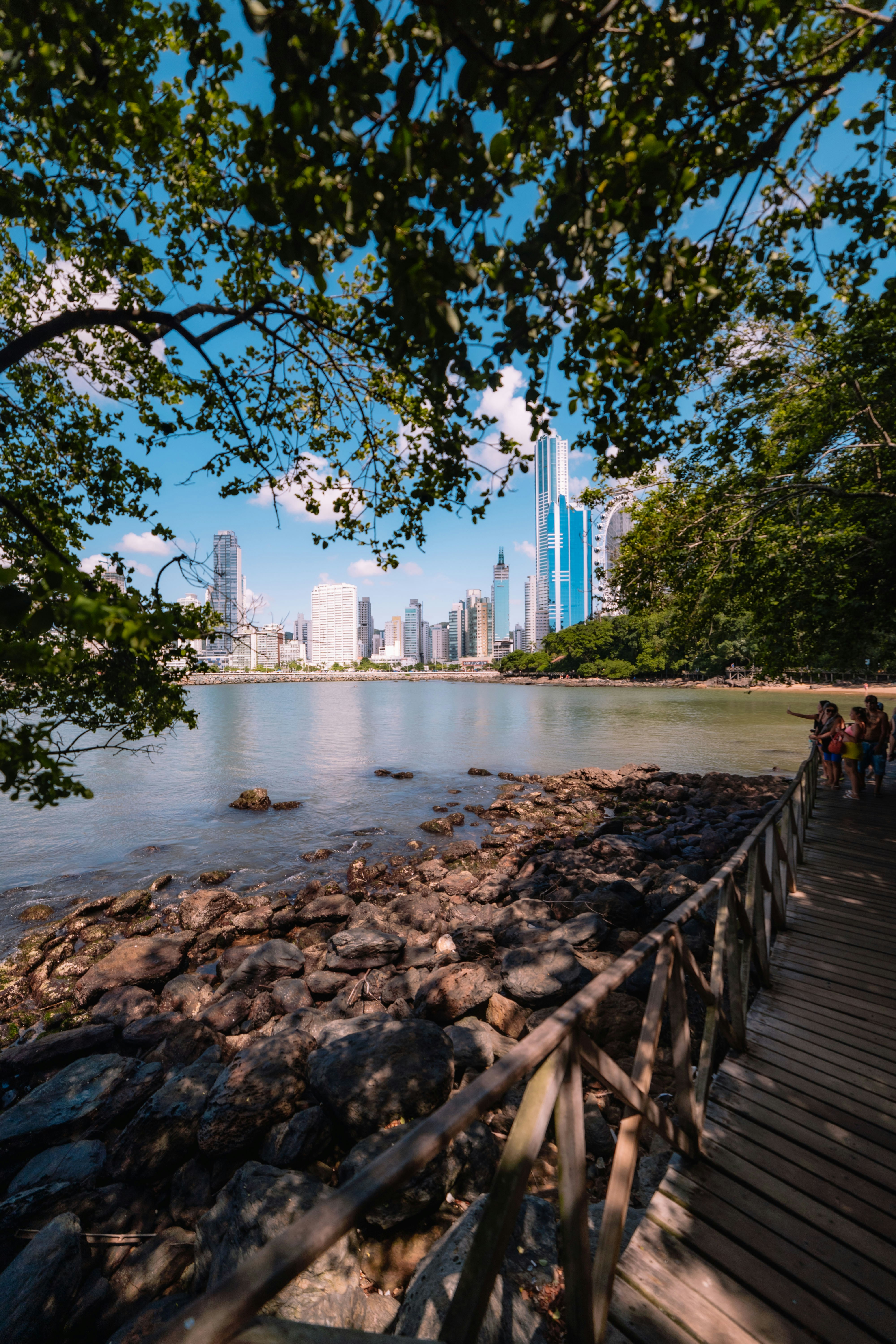 City skyline across bay, rocky shore, and wooden walkway