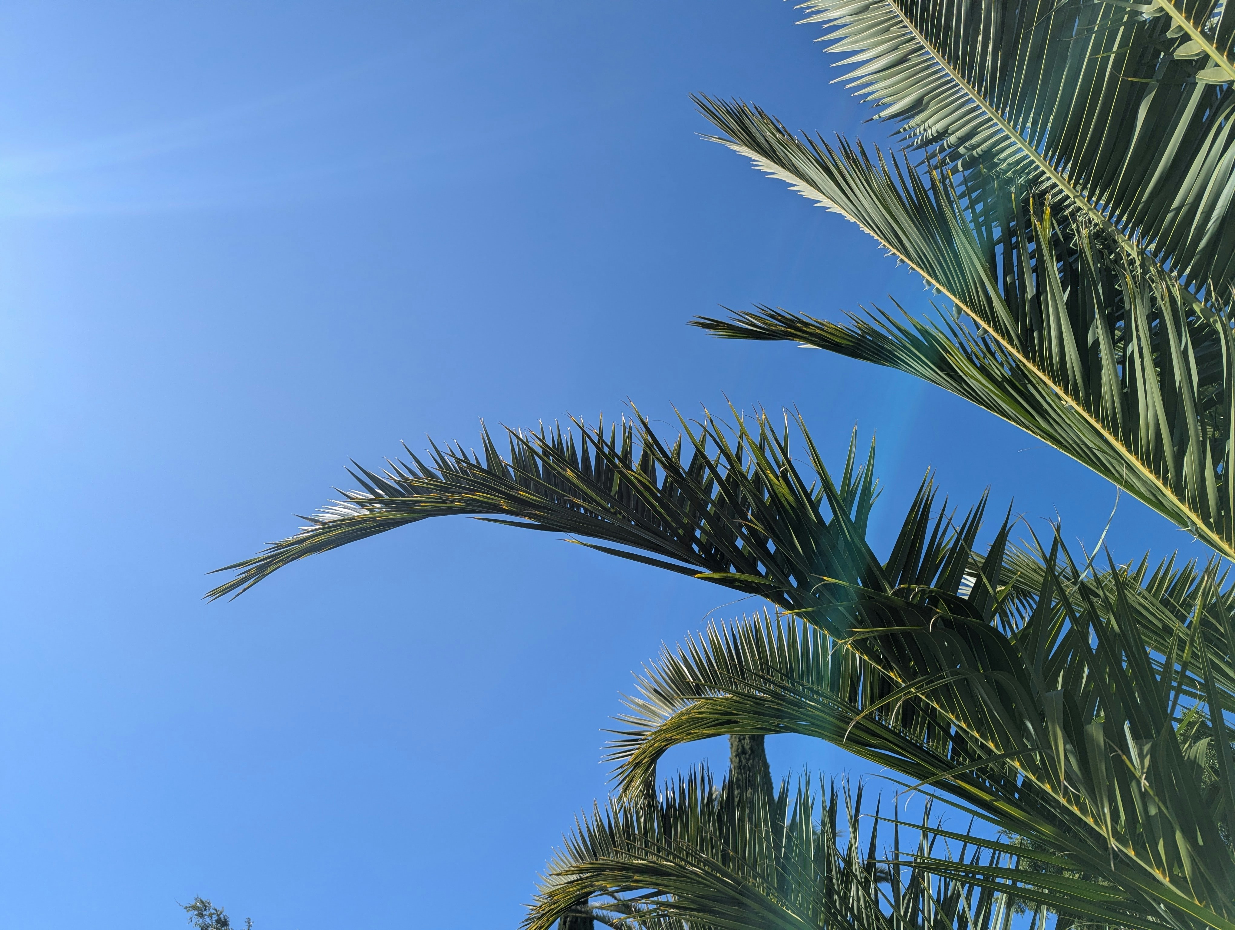 Weather in Florida Ridge: Best Time to Visit (2026)