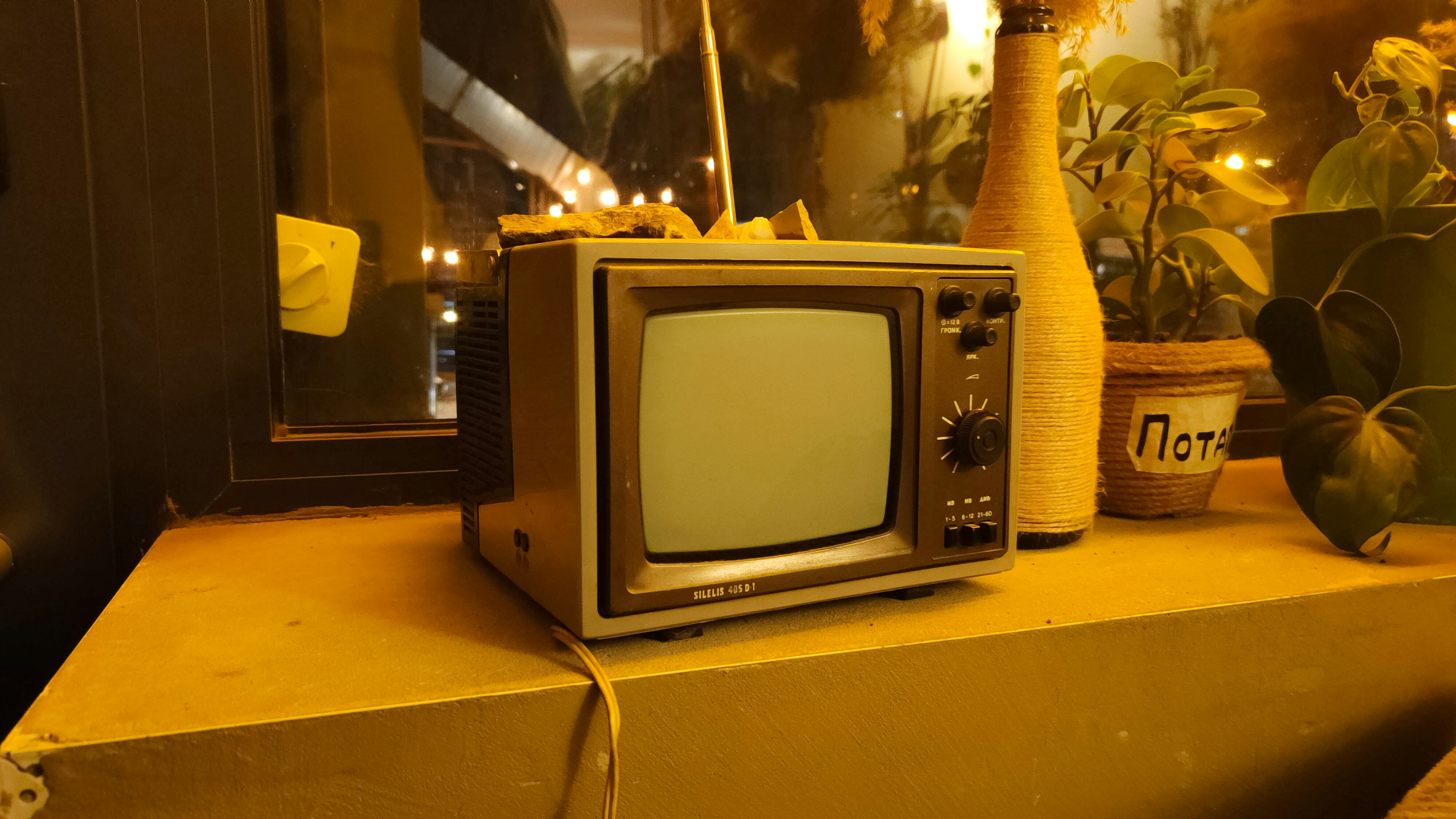 Retro-Fernseher im Regal mit Pflanzen.