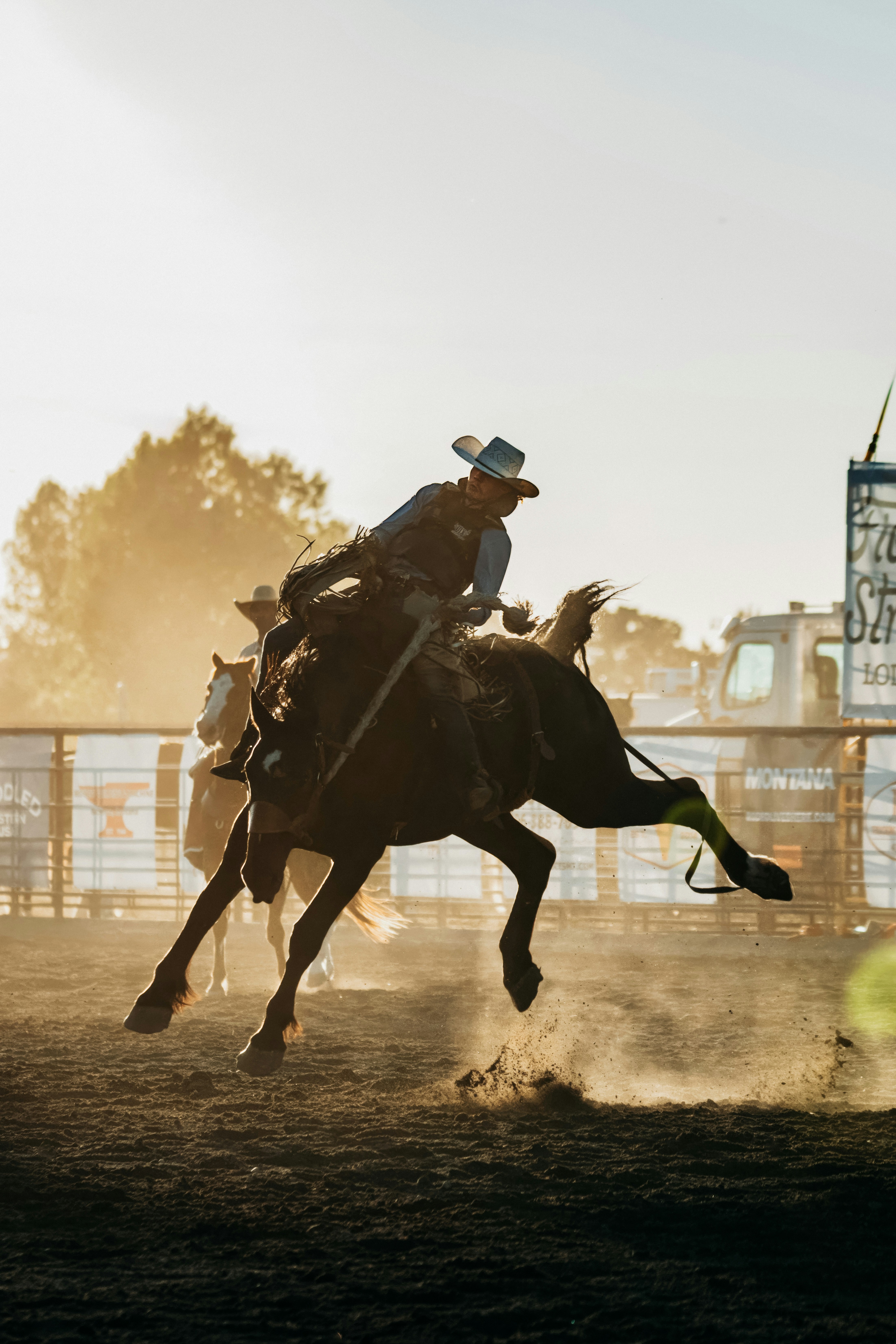 Cowboy riding bucking horse at bozeman rodeo