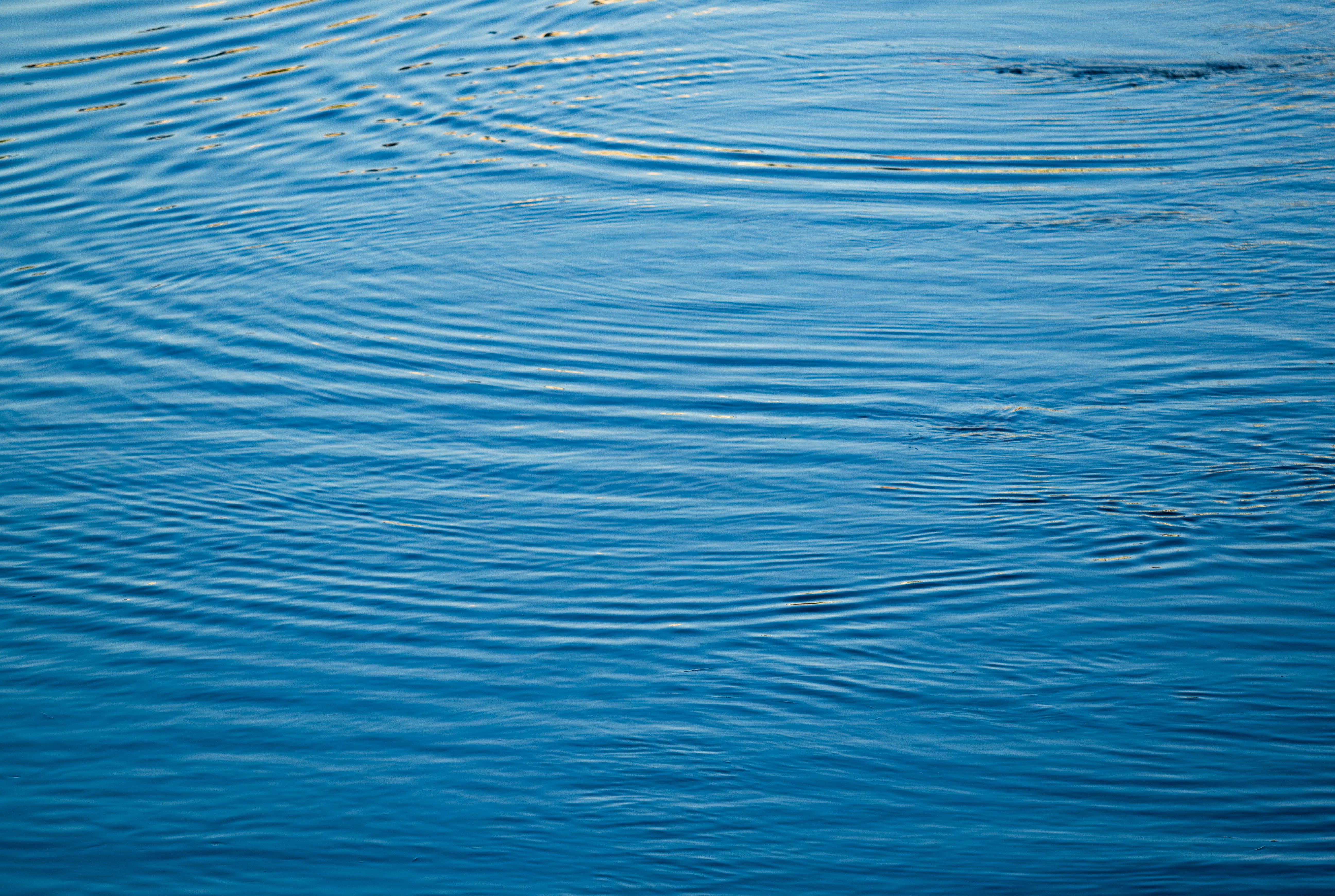 Abstract blue water surface with gentle ripples