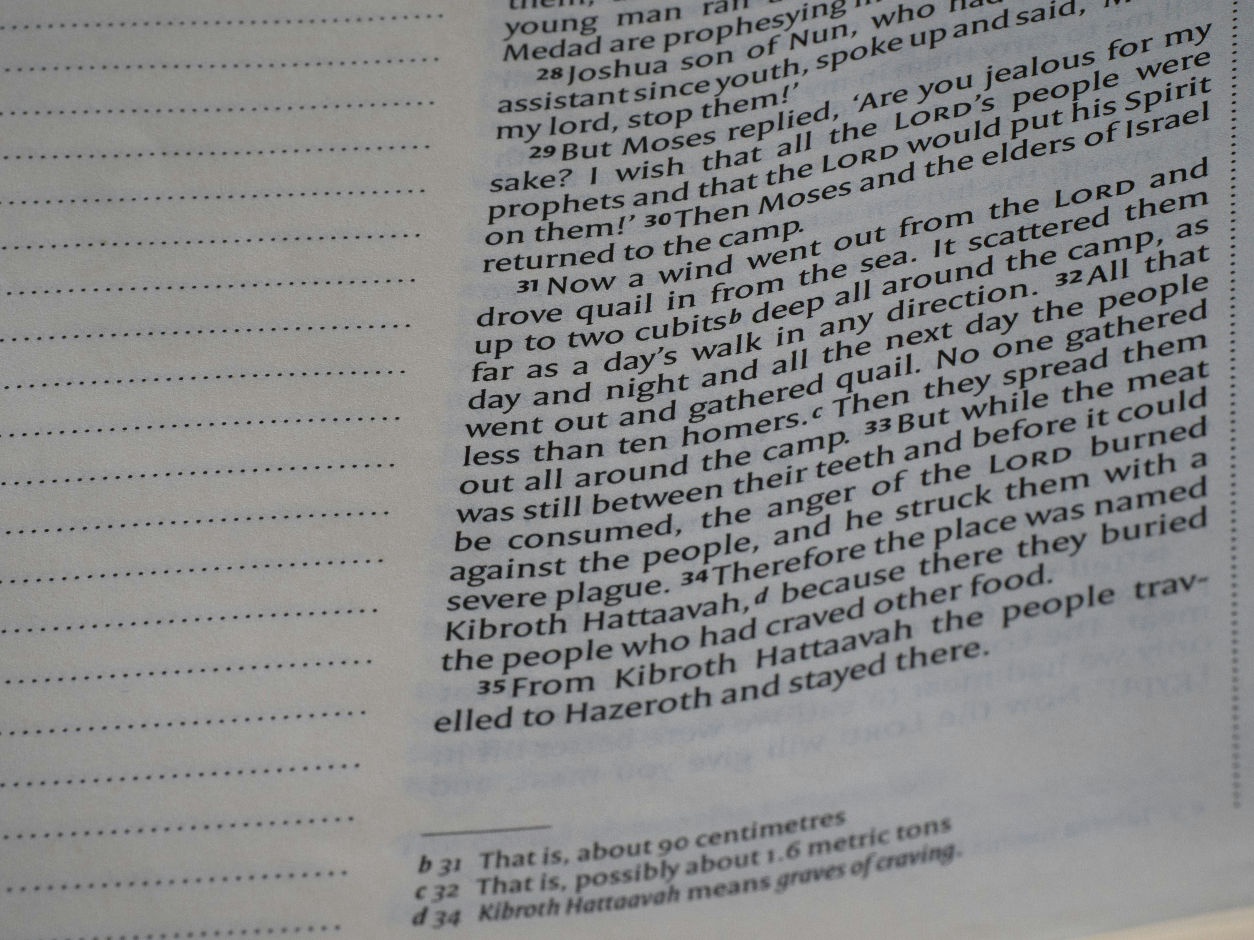 The Book of Numbers