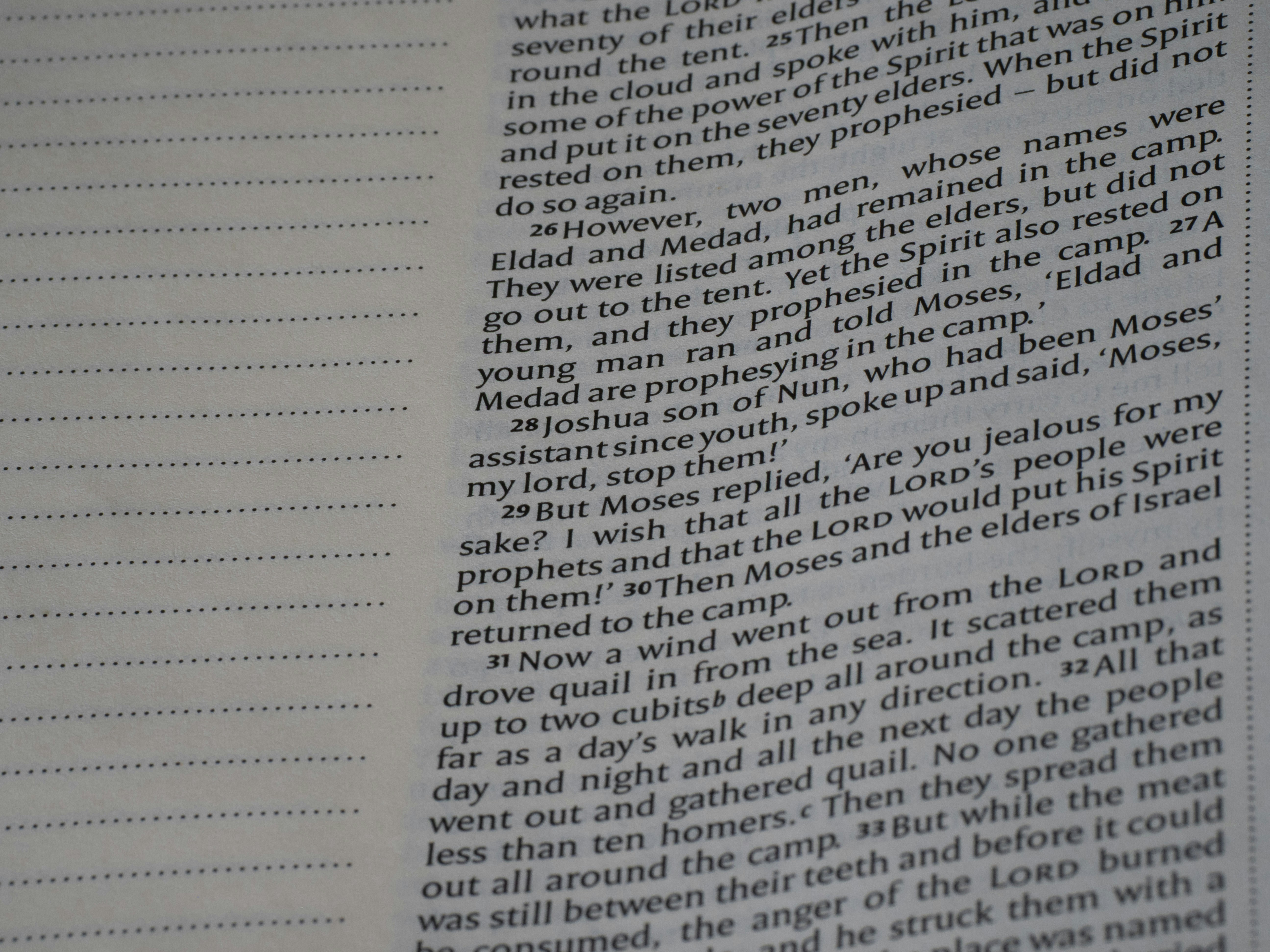 Bible page with text and blank lined journal space.