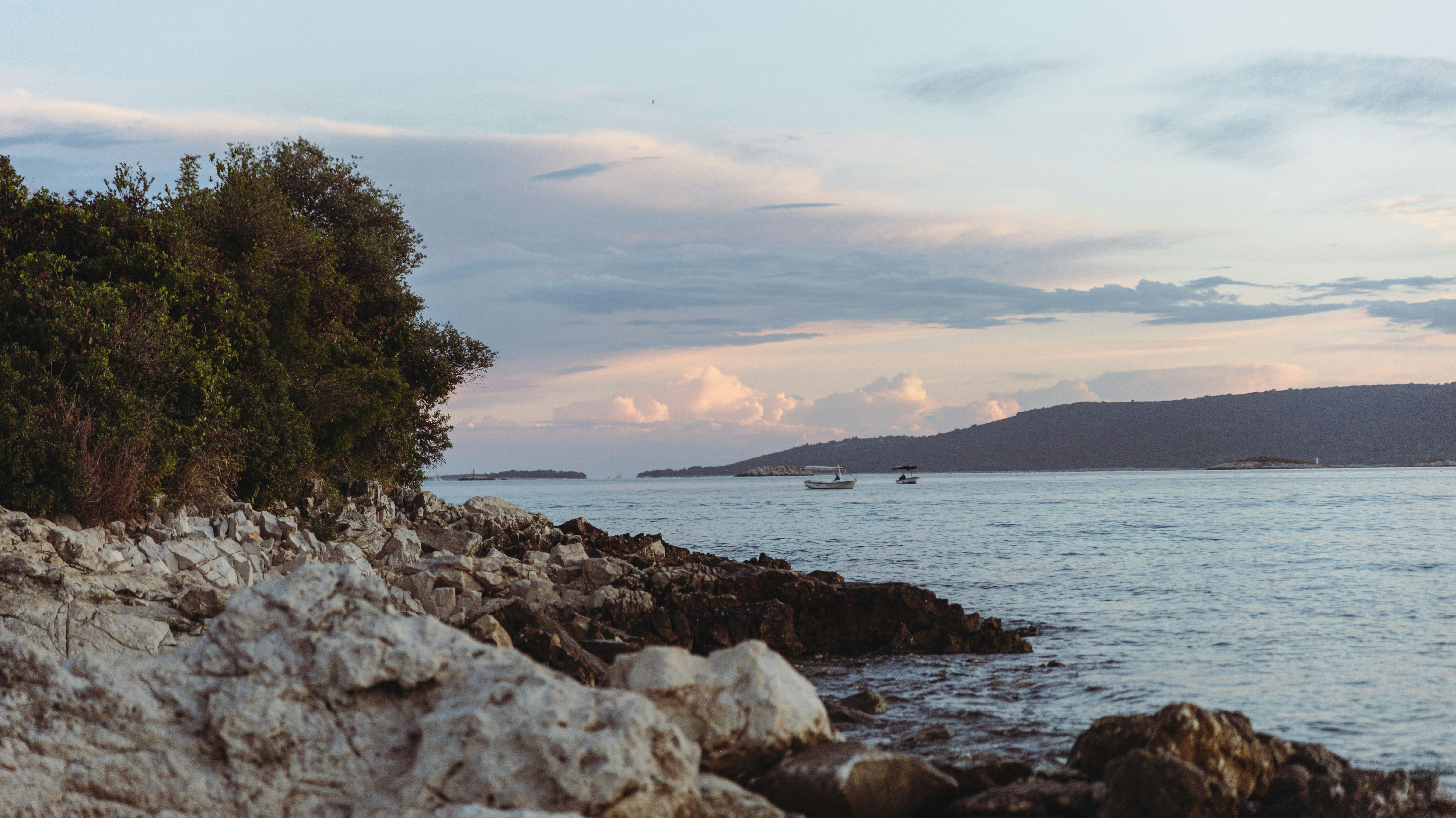 Rocky coastline with trees overlooking a calm sea at dusk