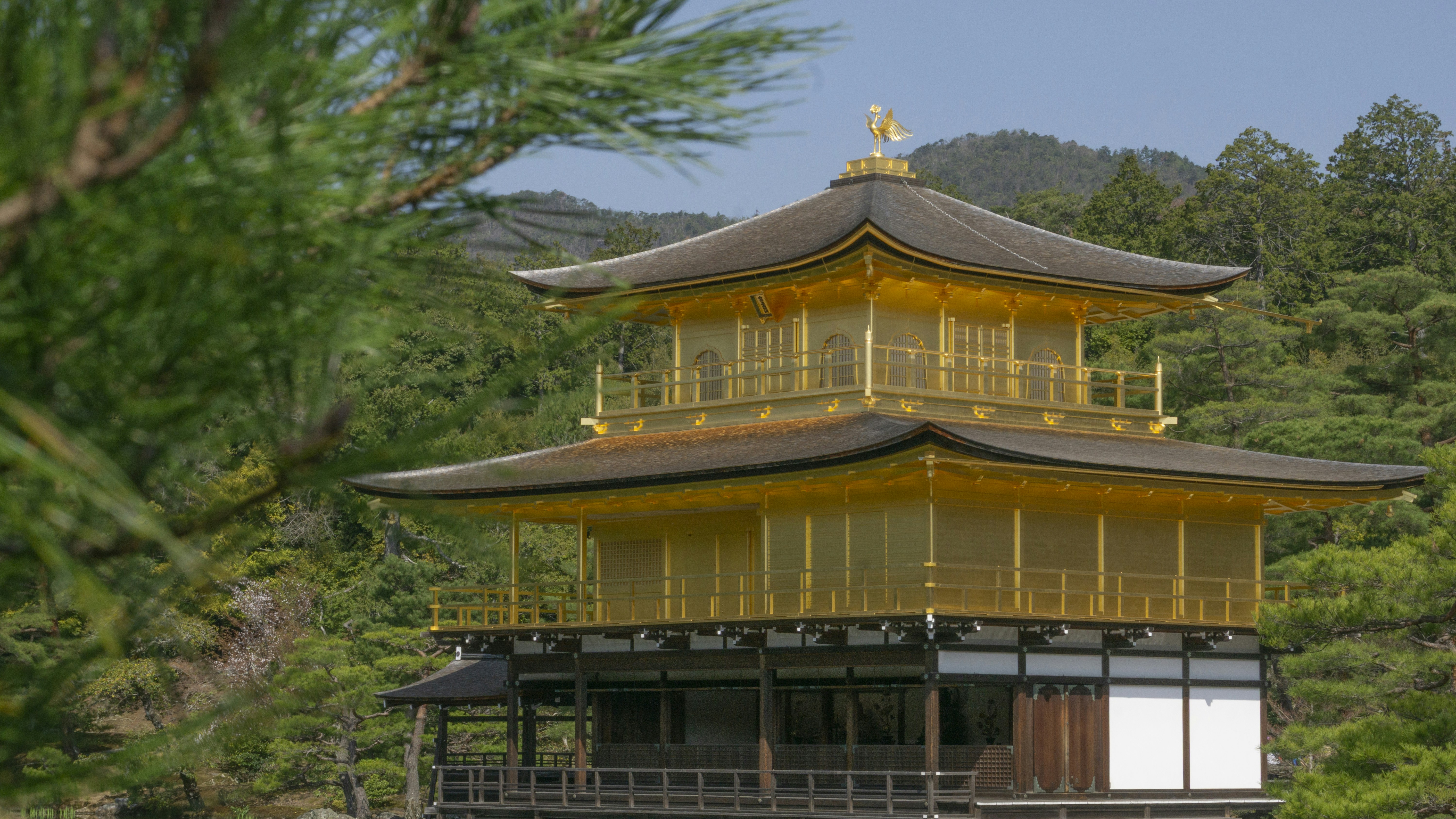 Pabellon Dorado Kioto Japón 2026